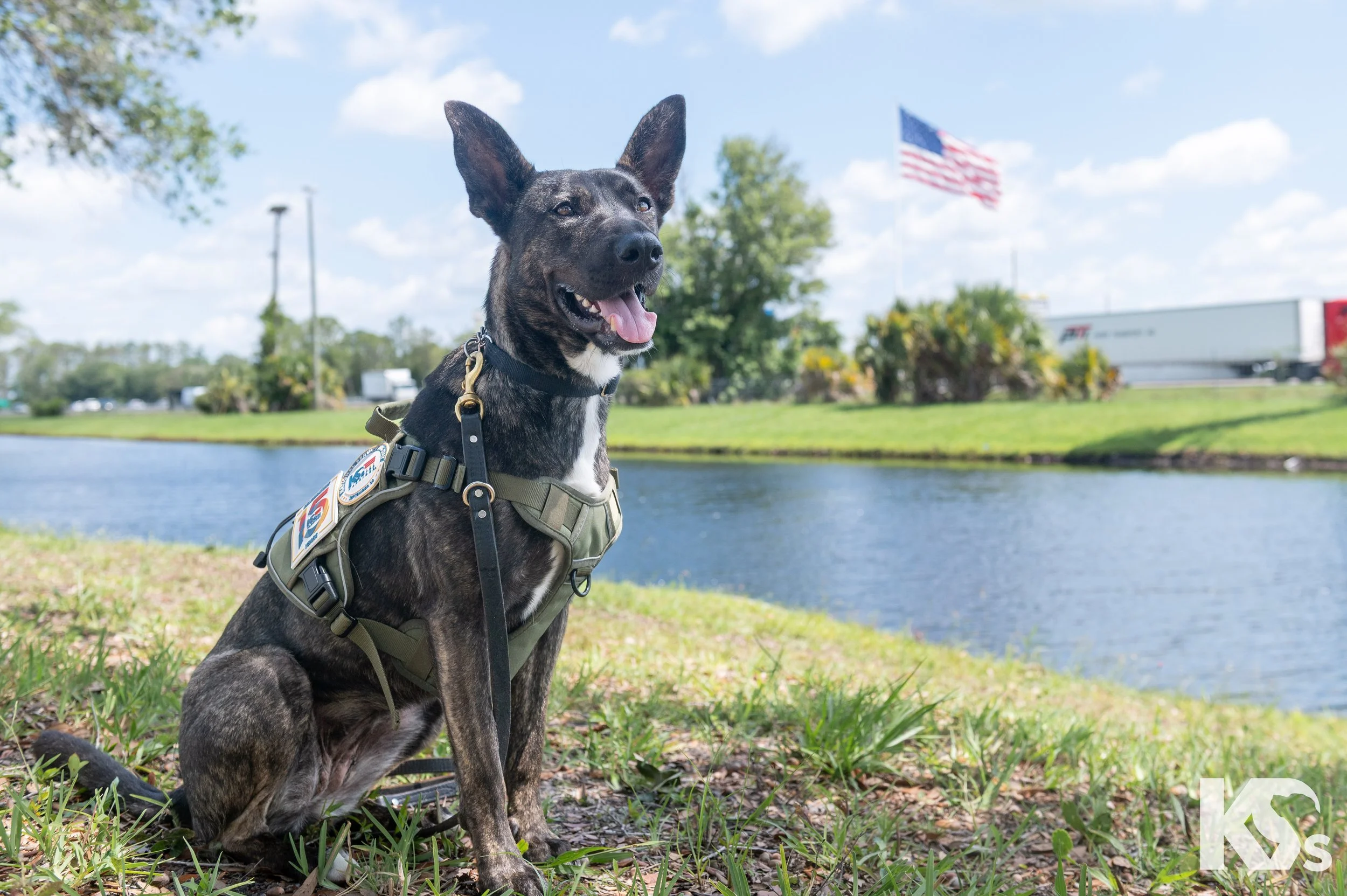 K9FW_260623_Lily_5337.jpg