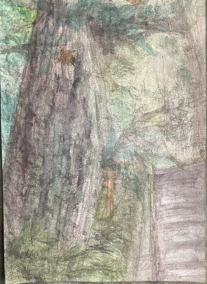 Ceder, 31/5/2025, Water colour on Paper, 14.8 x 21.0cm
