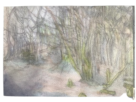 Walk in Late Winter, 21/4/2025, Water colour on Paper, 14.8 x 21.0cm