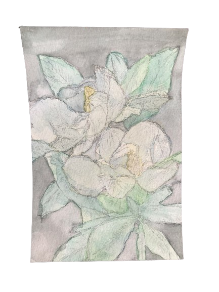 Southern Magnolia, 6/6/2025, Water colour on Paper, 10 x 14,8 cm