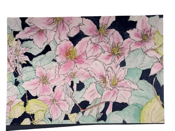 Leather Flower, 10/7/2026, Water colour on Paper, 15.8 x 22.7cm