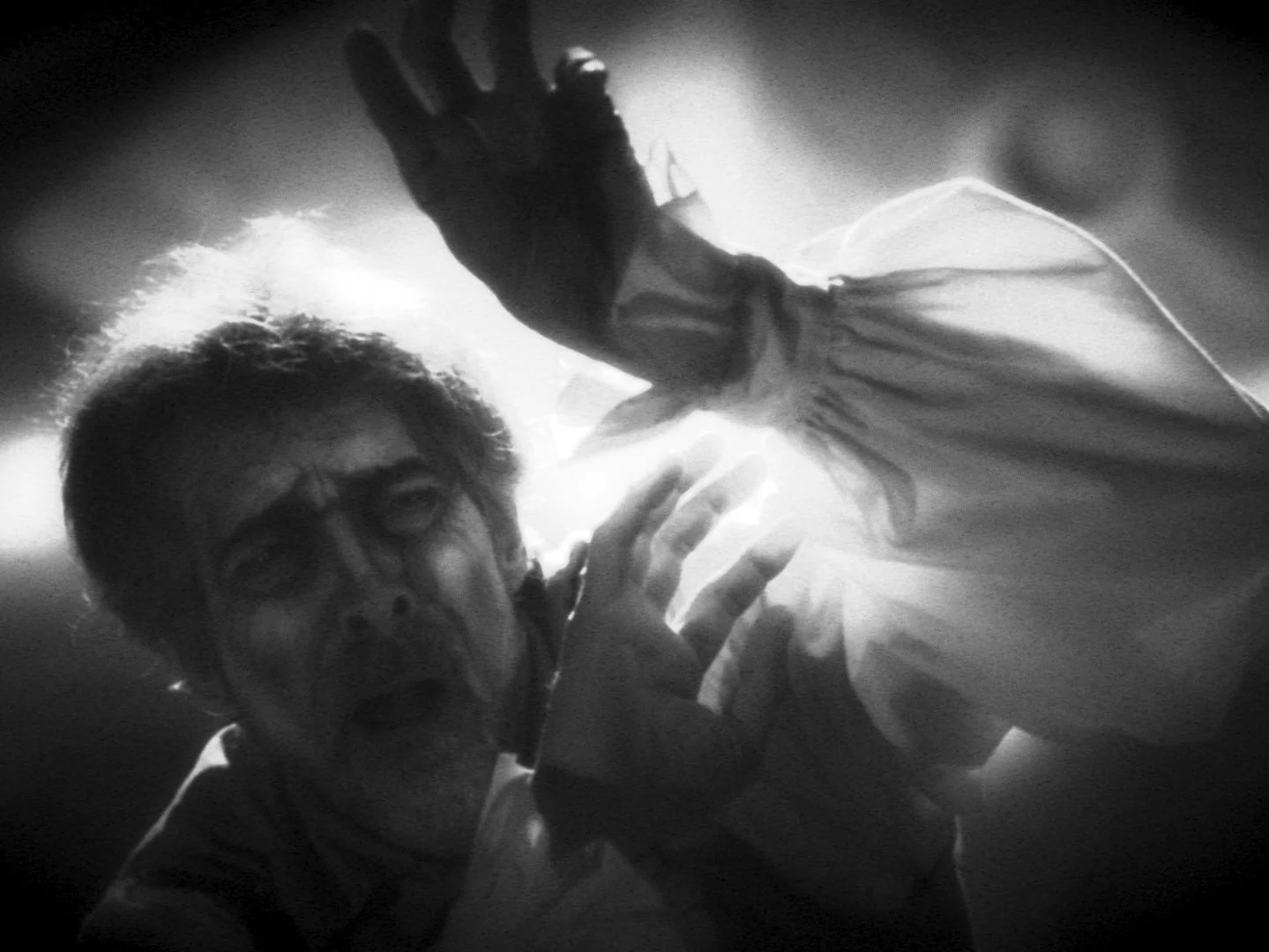 want-stills_1.1.64.jpg