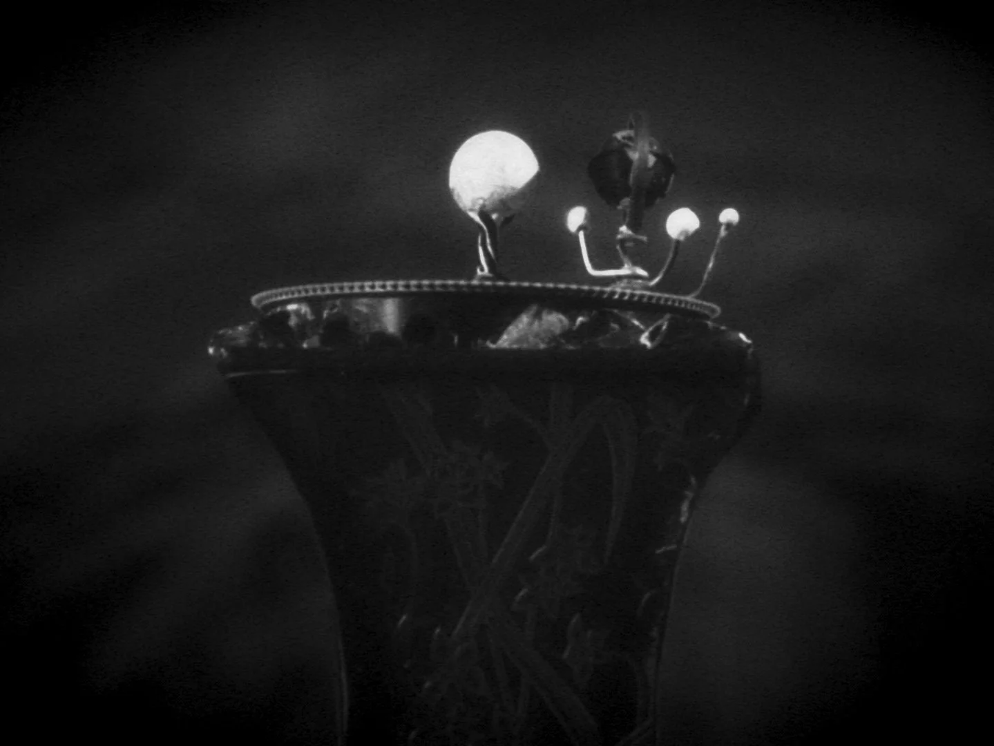 want-stills_1.1.15.jpg