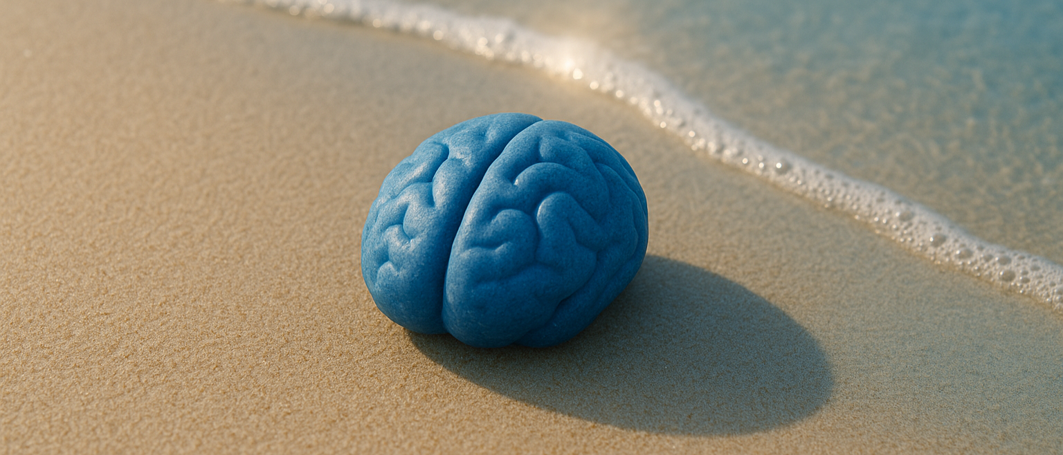Blue brain sitting by the ocean's edge representing "Do I Really Need Total & Permanent Disability (TPD) Cover?" Blog written by Financial Planner, Tim Grapiglia of EvolvU Financial Services in Scarborough, Australia.