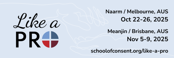 Image showing the text “Like a Pro” in large font with the Wheel of Consent® branding and logo design, used to represent professional training in embodied consent practices.