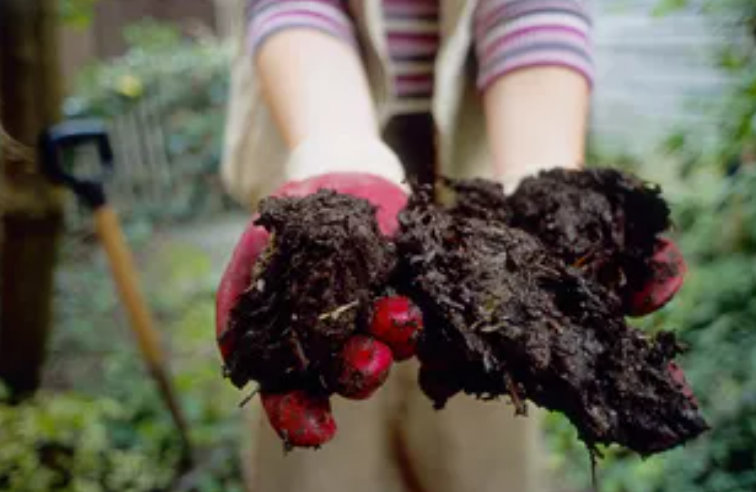Compost available to gardeners