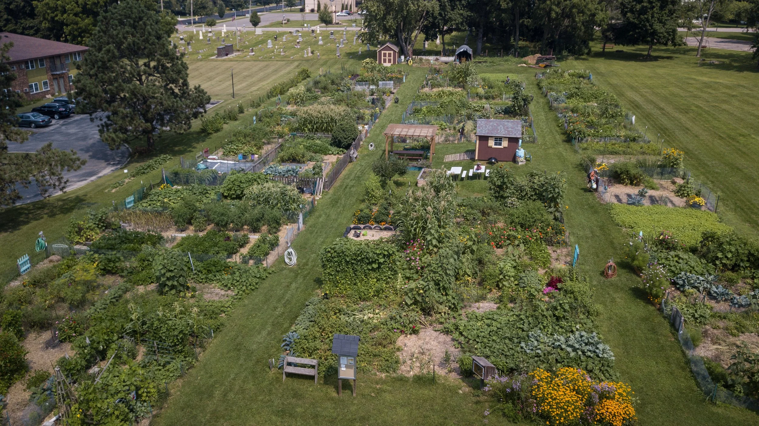 Join us this year! Apply for a garden plot after March 1