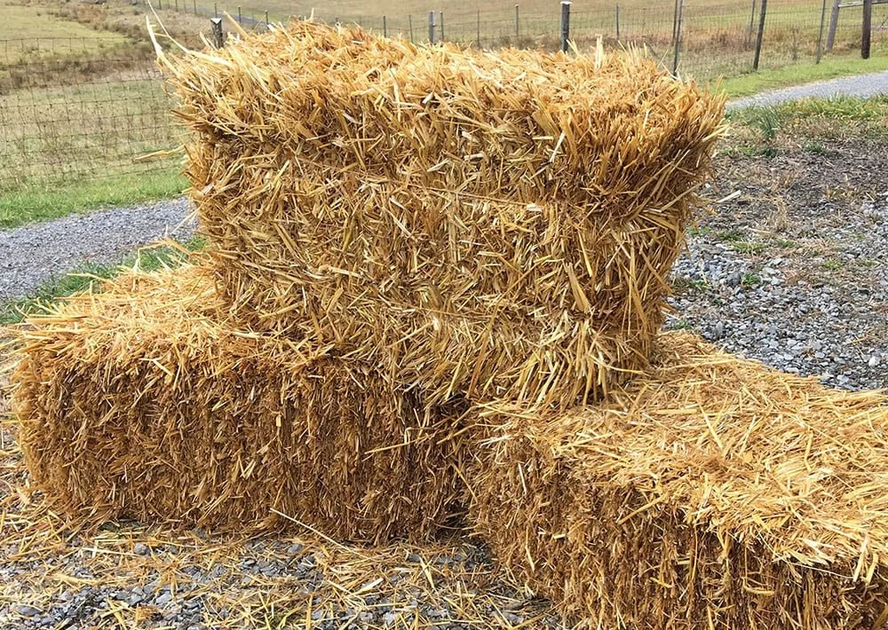 Order straw, marsh hay by April 17