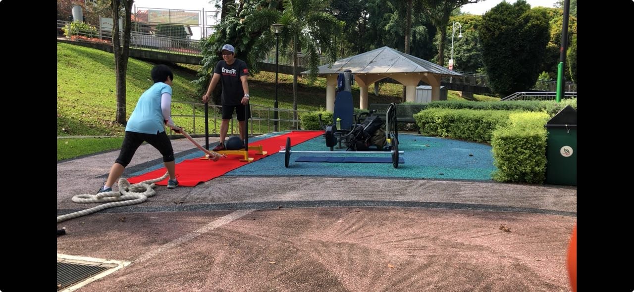 Outdoor fitness area with people exercising, pulling ropes and using gym equipment, surrounded by greenery and a pavilion.