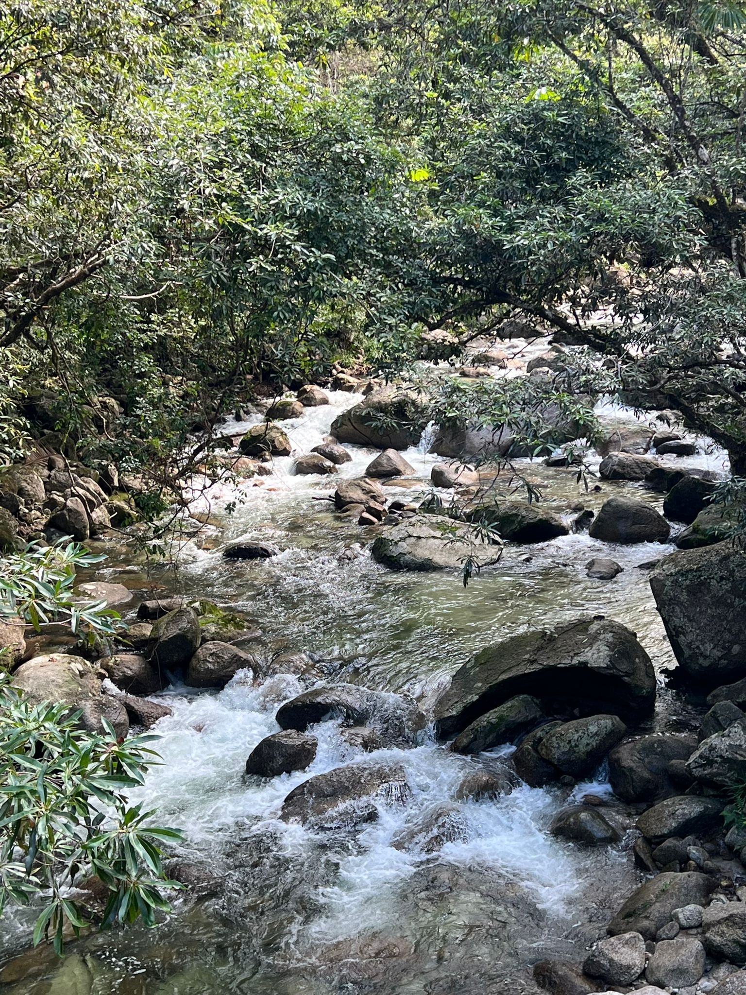 WhatsApp Image 2025-09-11 at 11.52.13.jpeg