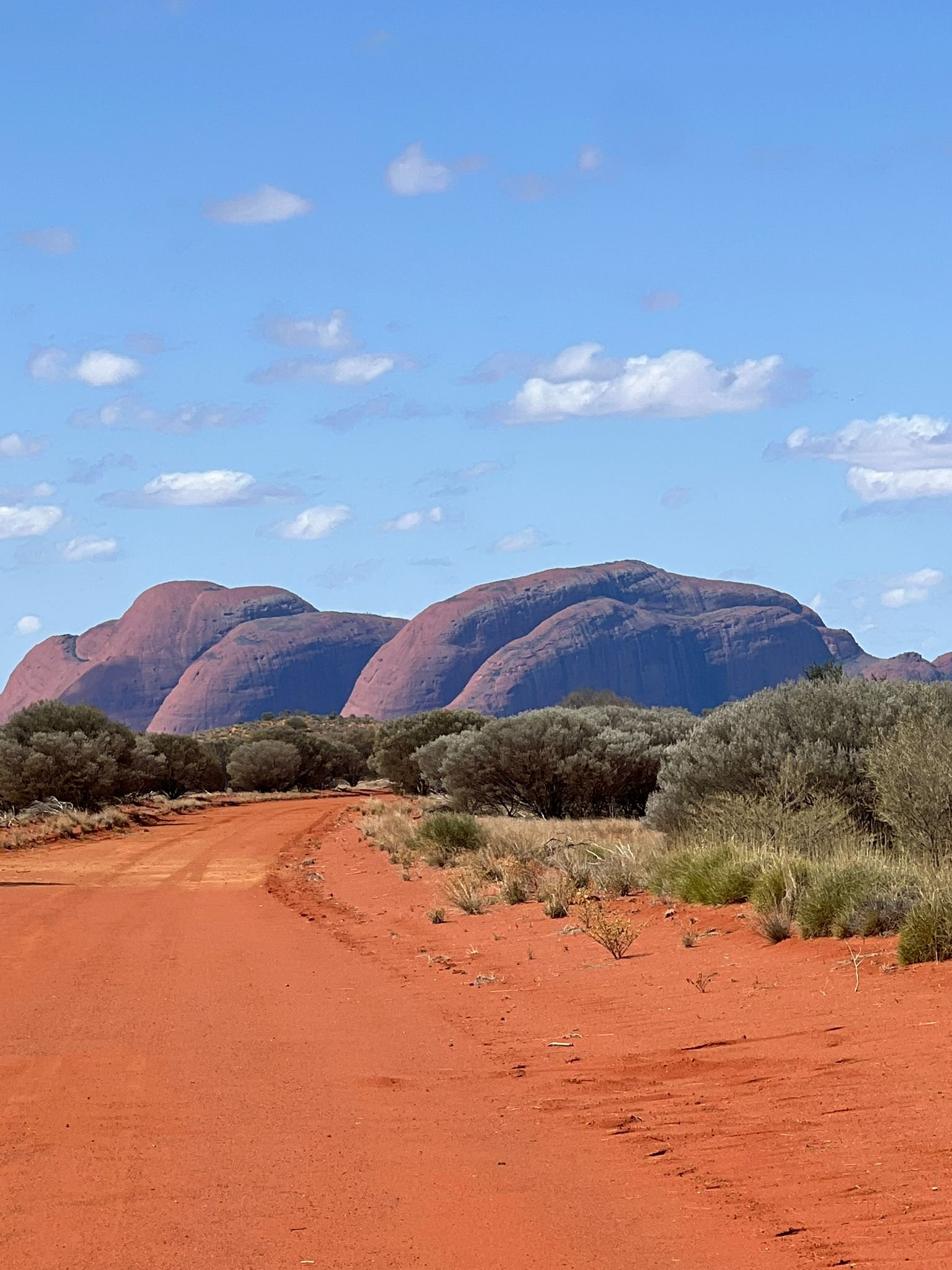 WhatsApp Image 2025-09-11 at 11.49.21.jpeg