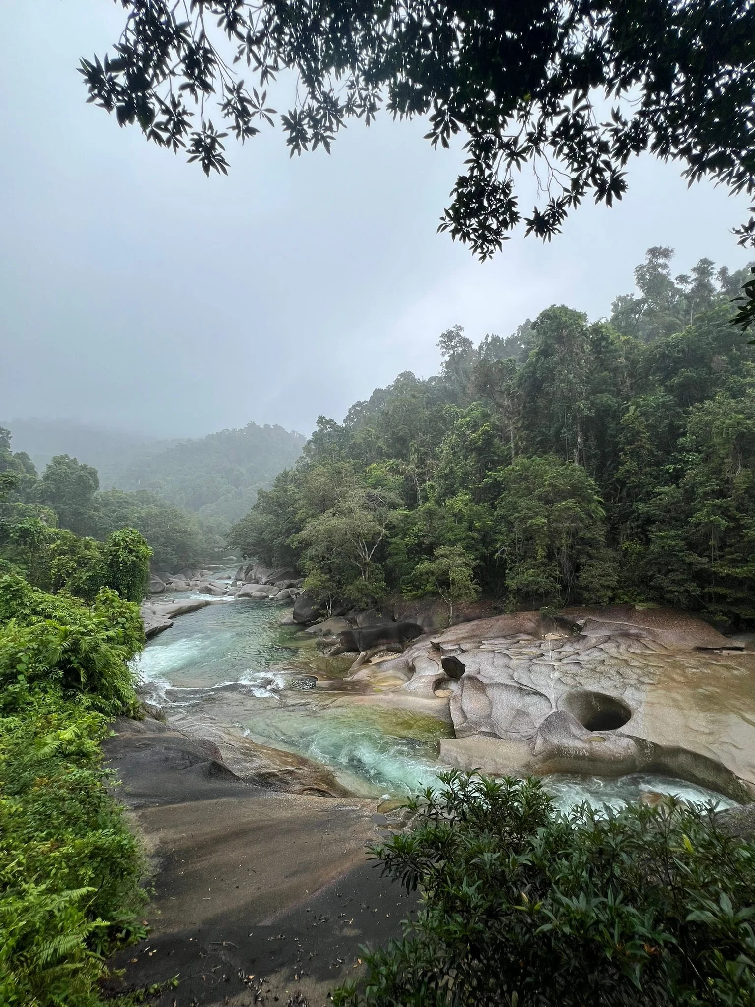 WhatsApp Image 2025-09-11 at 11.52.14.jpeg