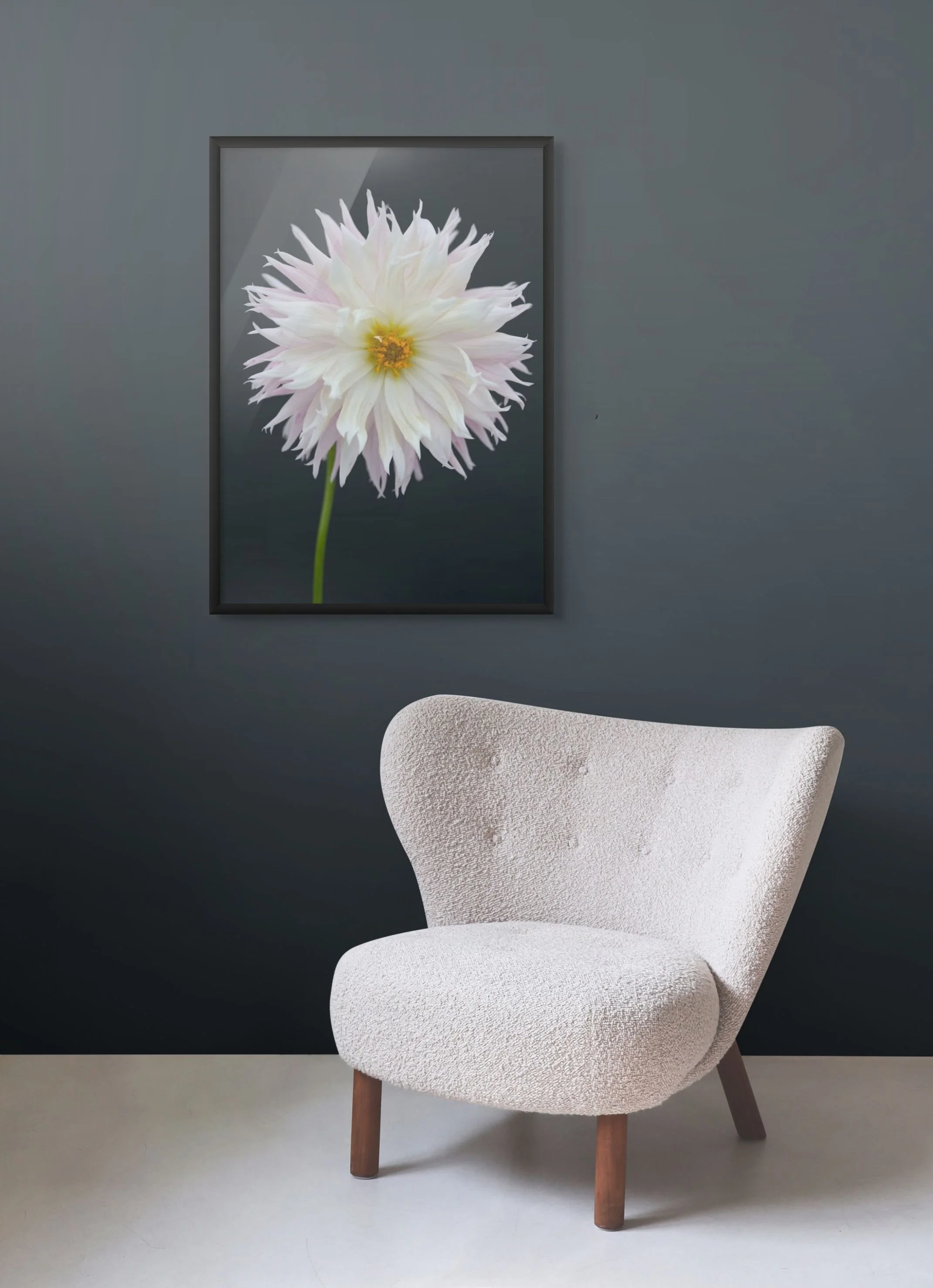 plume floral fine art framed print by northern exposure supply co