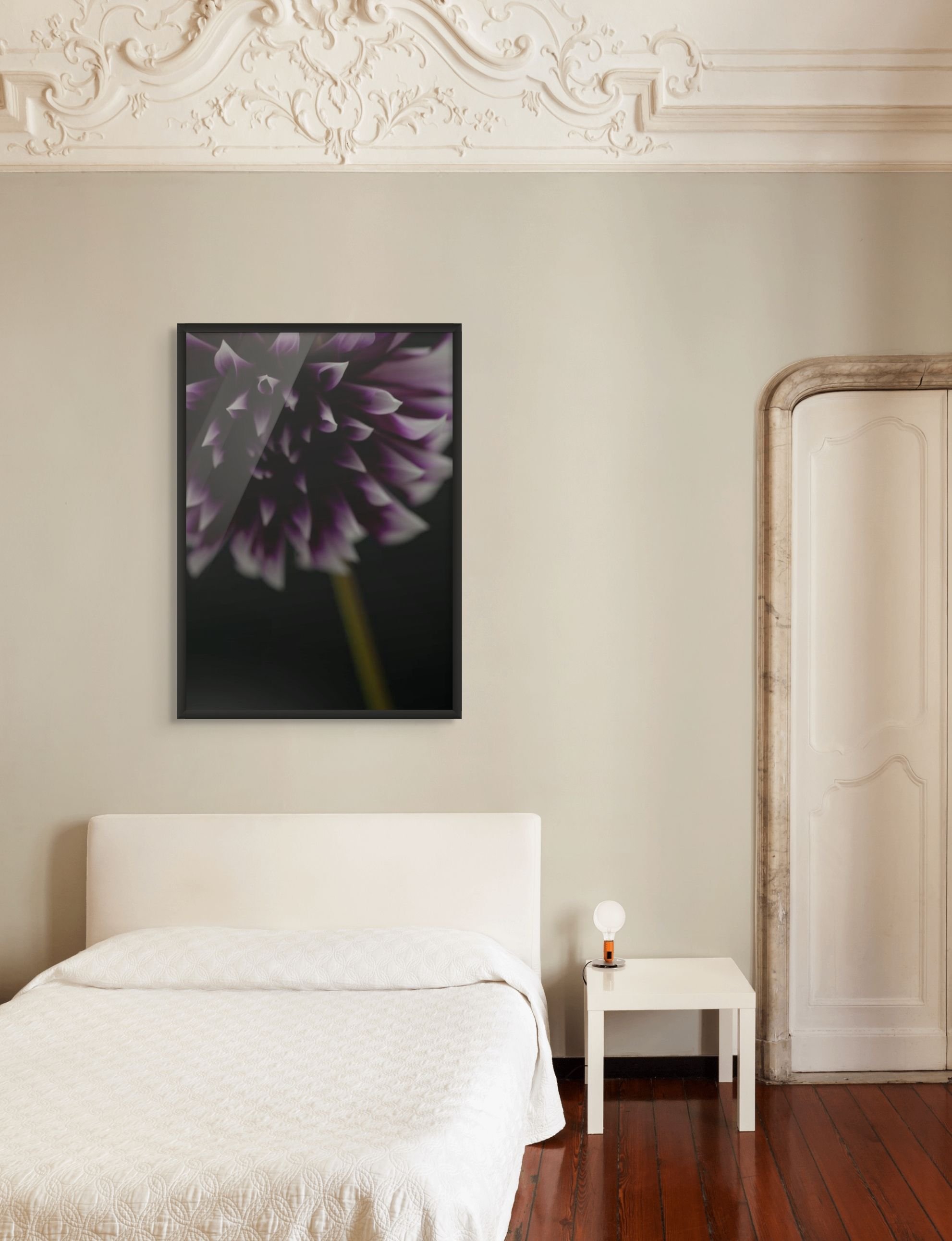 umbra floral fine art framed print by northern exposure supply co
