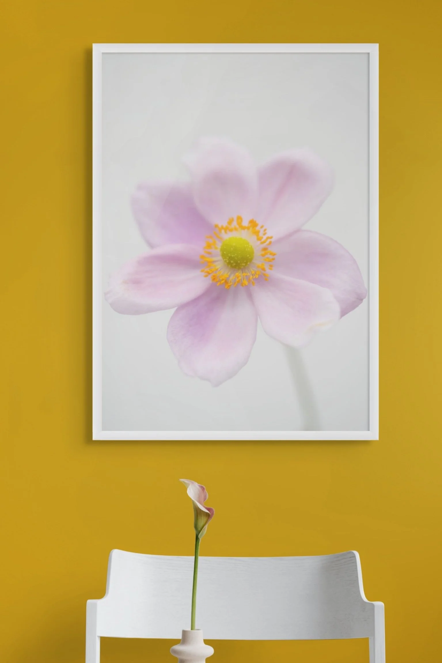 anemone floral photographic fine art framed print by northern exposure supply co