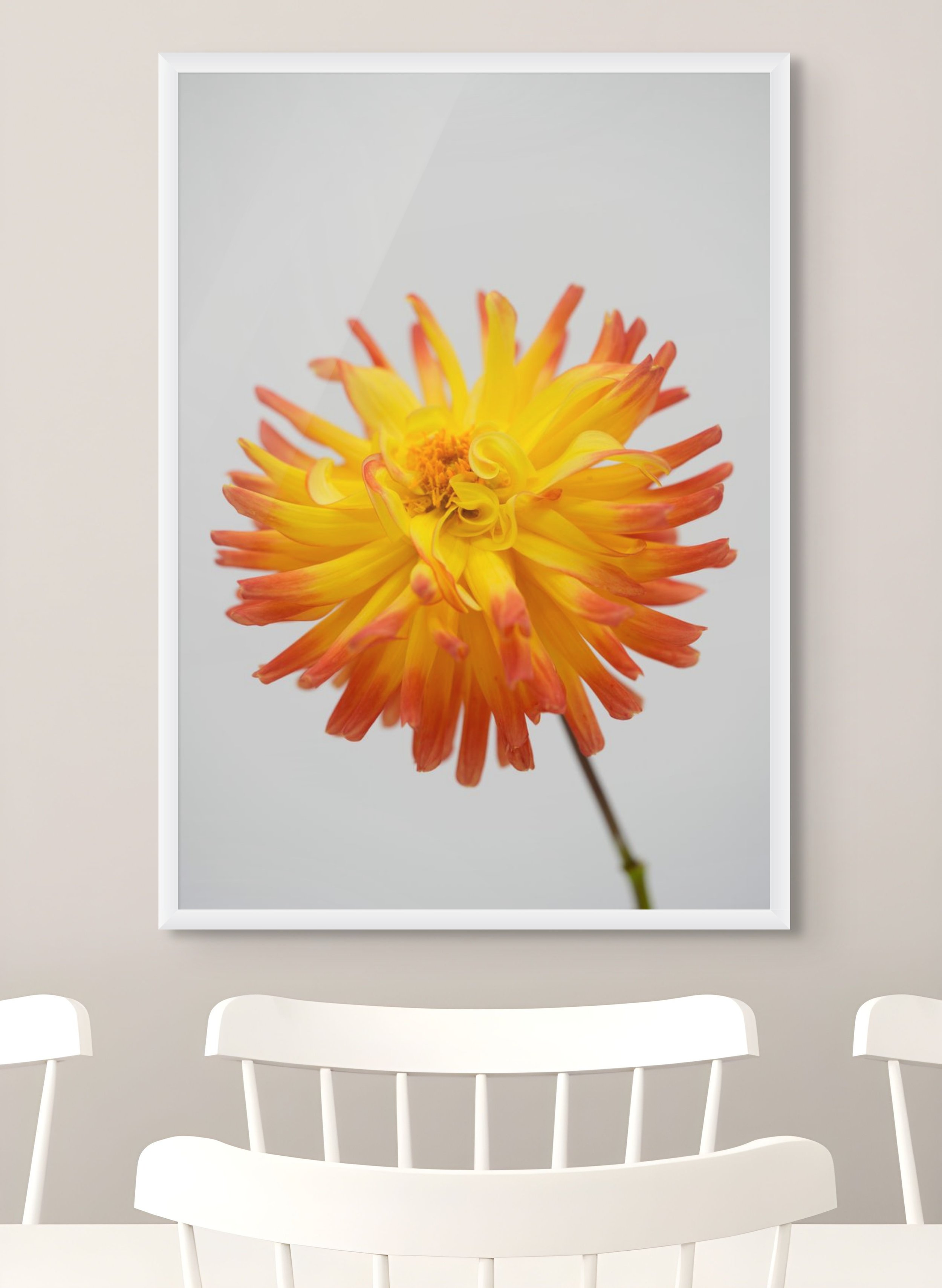 floral fine art framed print by northern exposure supply co