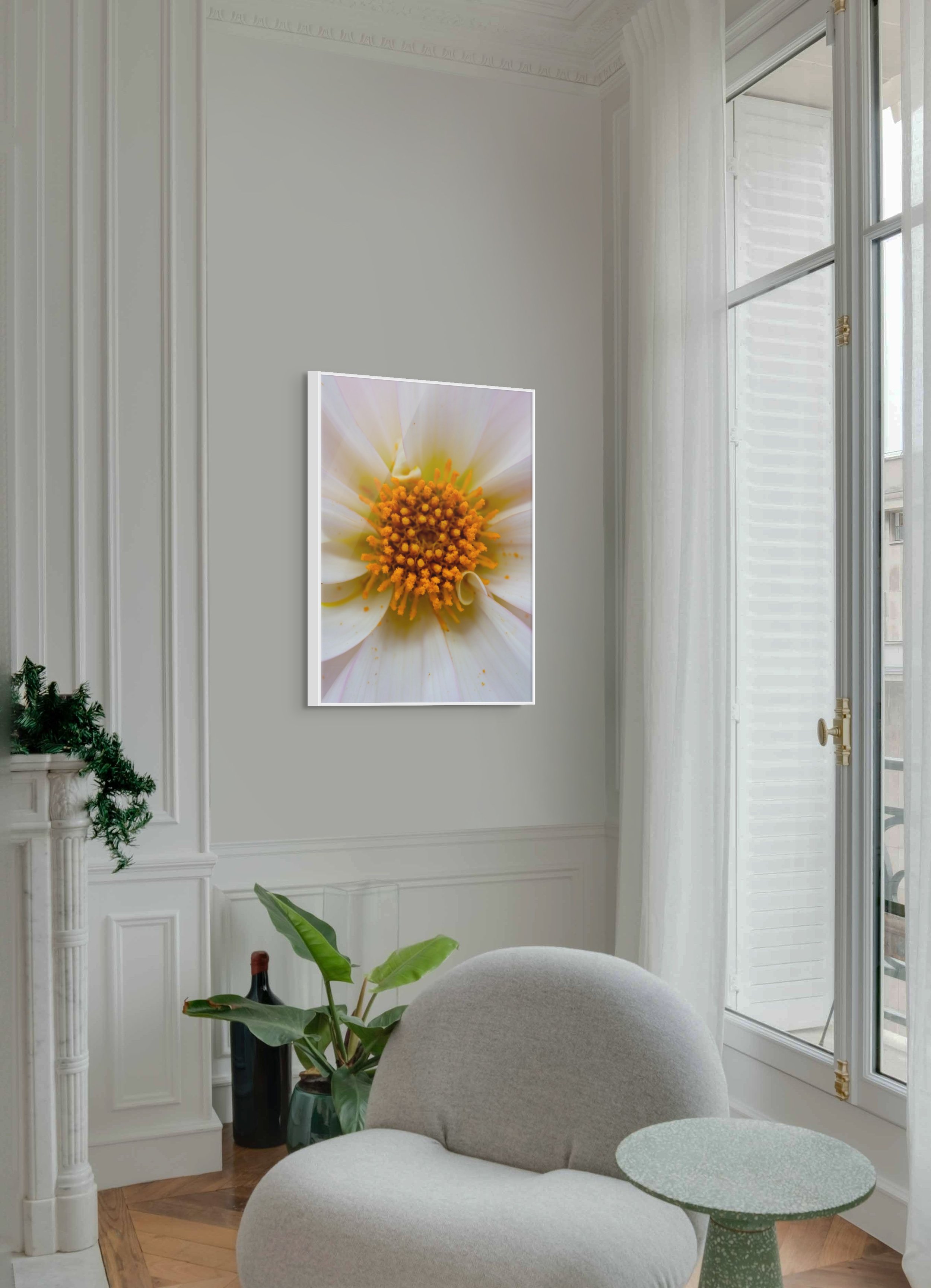 floral fine art framed print by northern exposure supply co