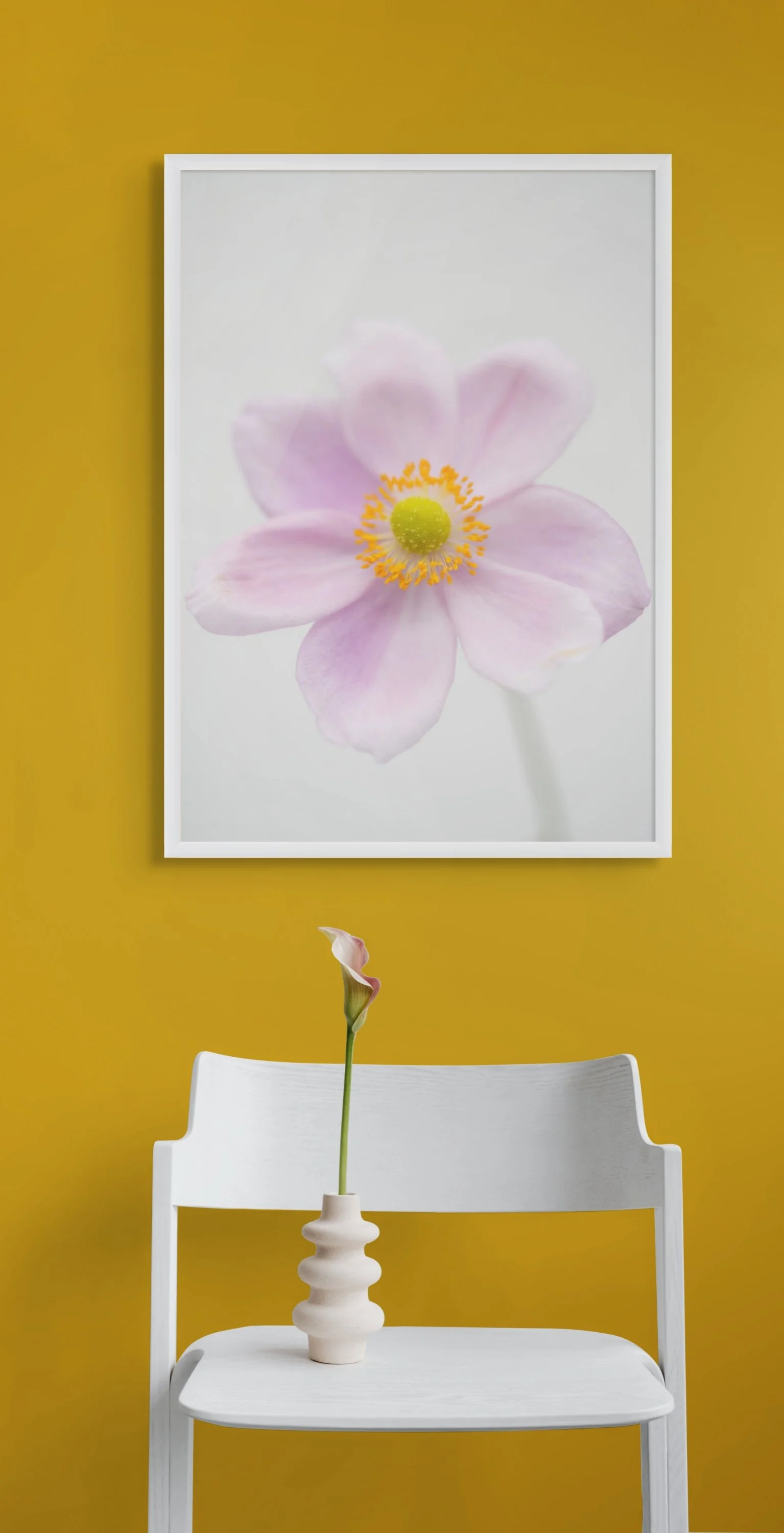 White timber frame option northern exposure supply co anemone photographic fine art print