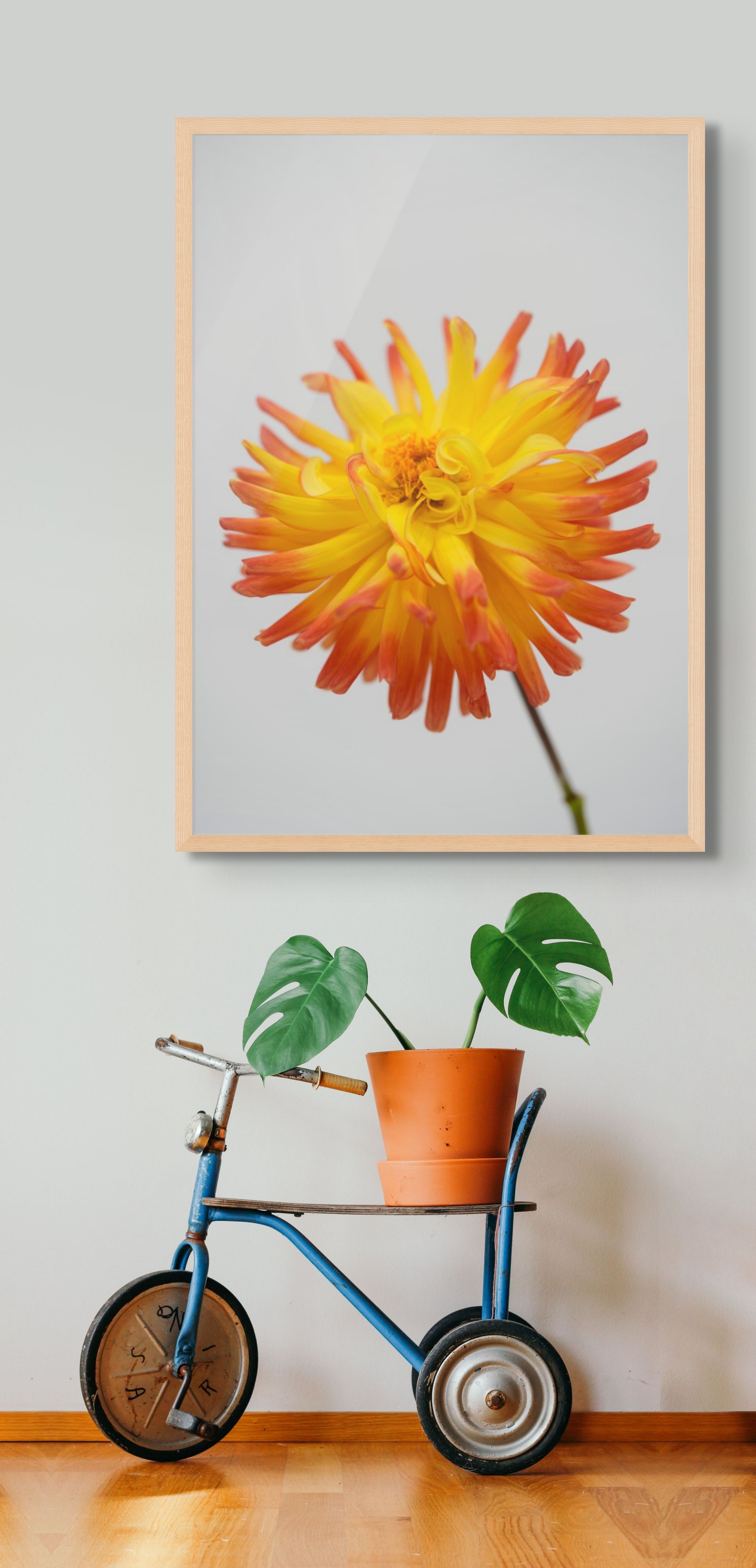 Tasmanian Oak timber frame option northern exposure supply co firecracker fine art print