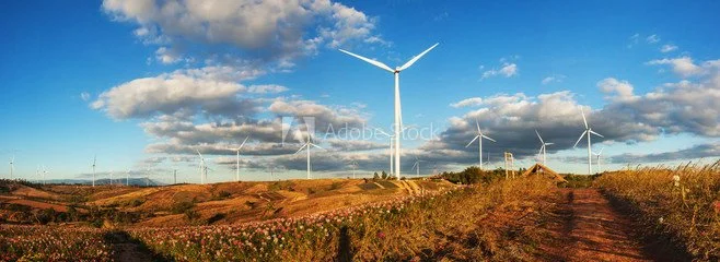 Fields of flowers with a windy hilltop and multiple wind turbines against a partly cloudy sky