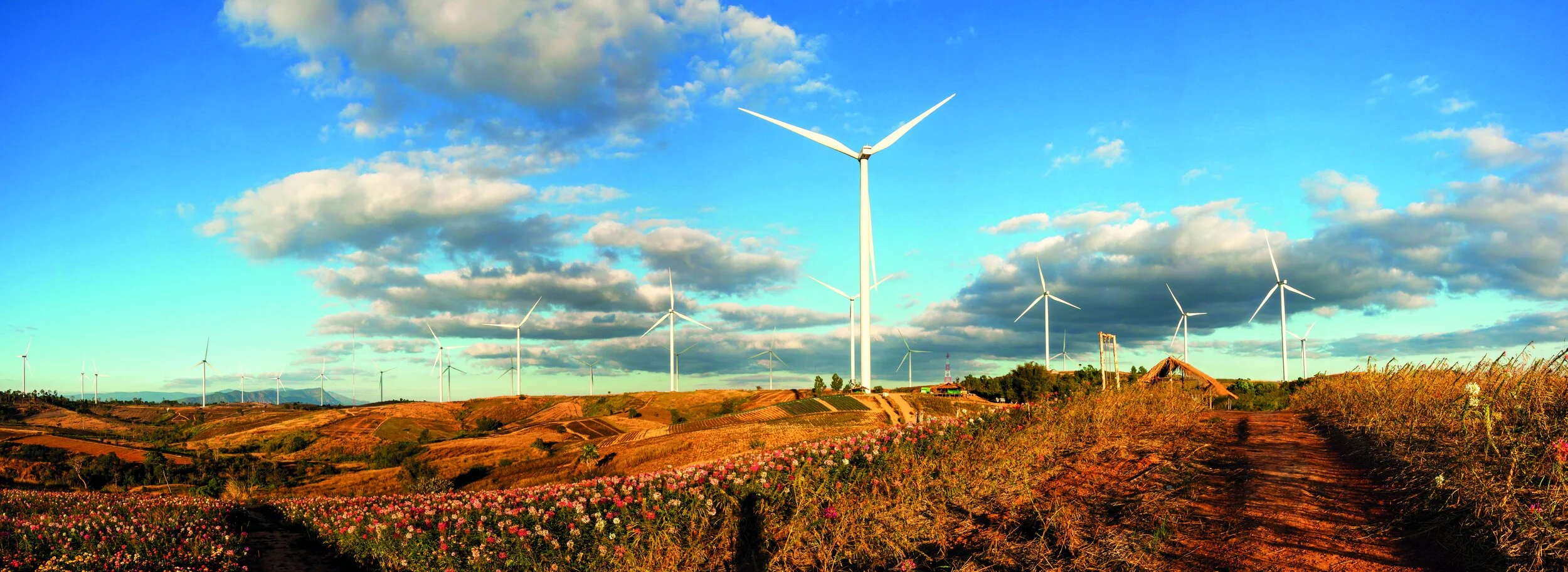 Wind turbines on a hillside landscape under a partly cloudy sky with fields and flowers in the foreground.