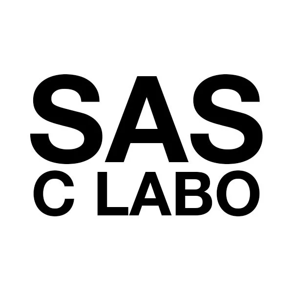 sas c lbo.jpg