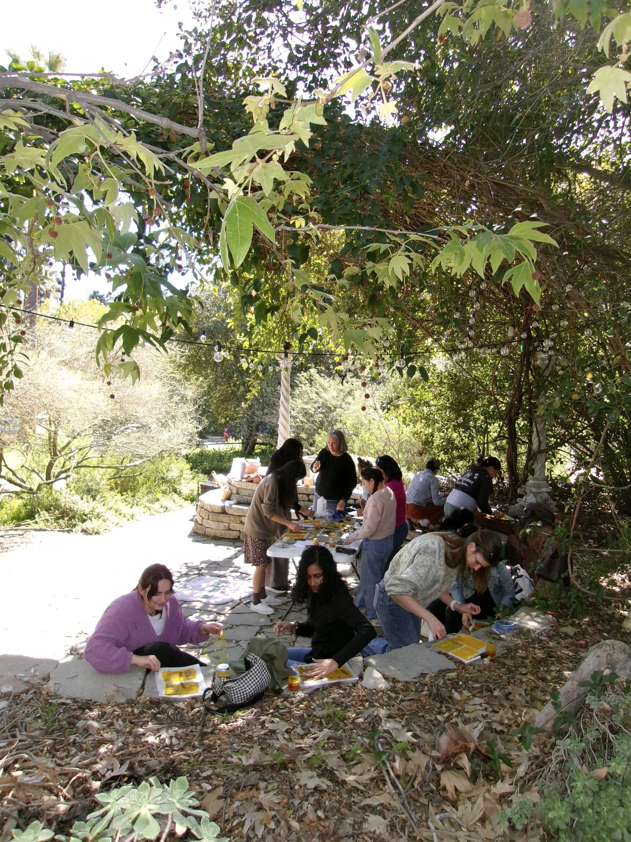 Cyanotype + Anthotype workshop