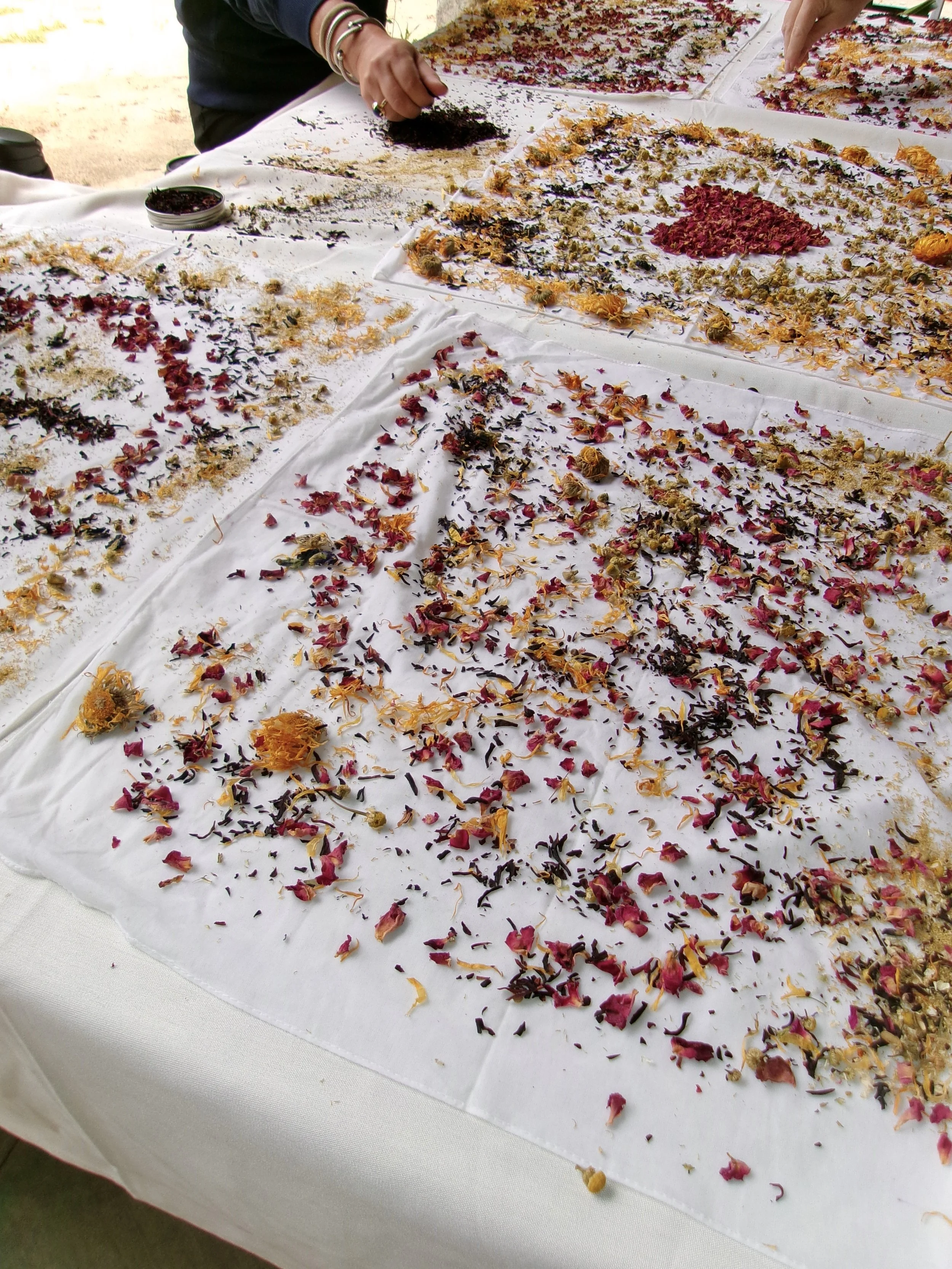 4/2 &amp; 4/4 Cotton Bandana Natural Dye Workshop
