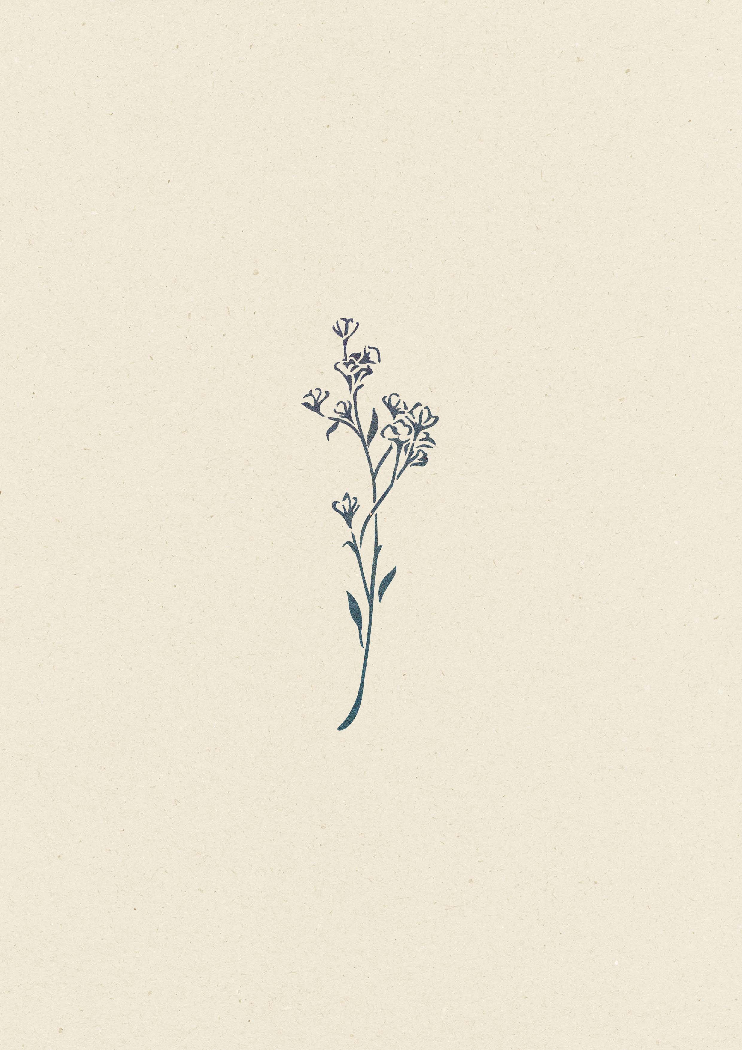 Lin bleu • 212