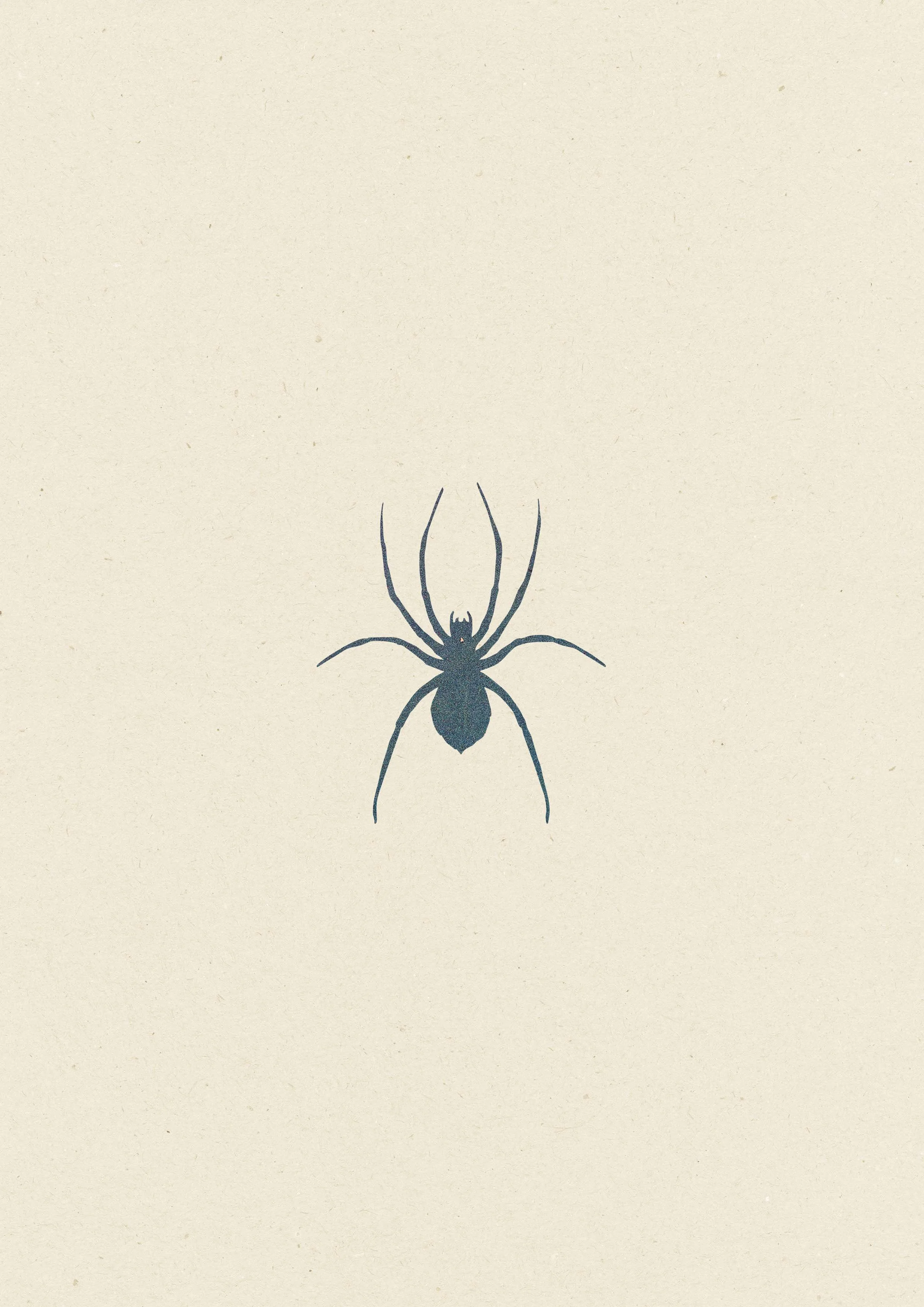 Araignée • 25