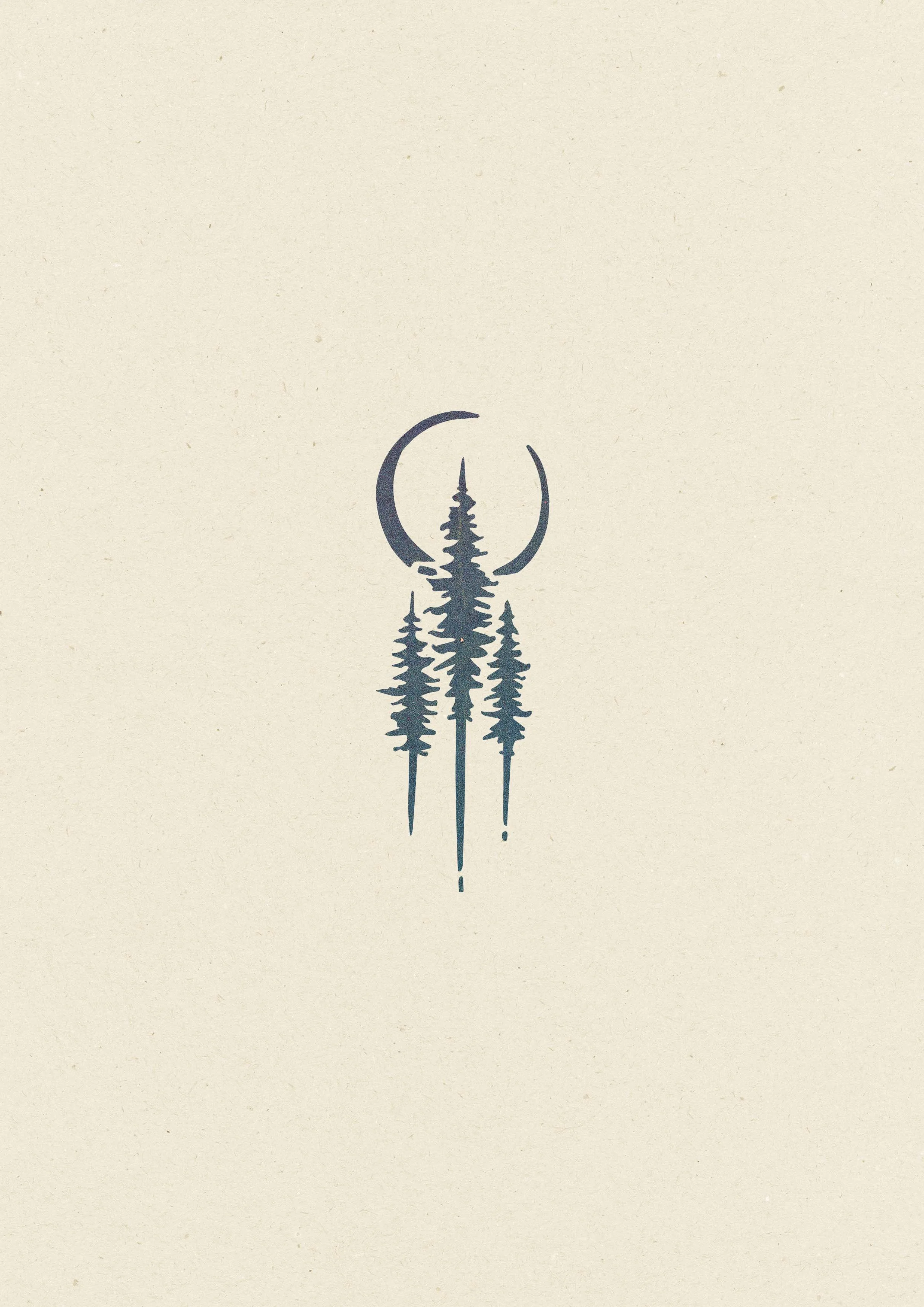 Pins et Lune • 116