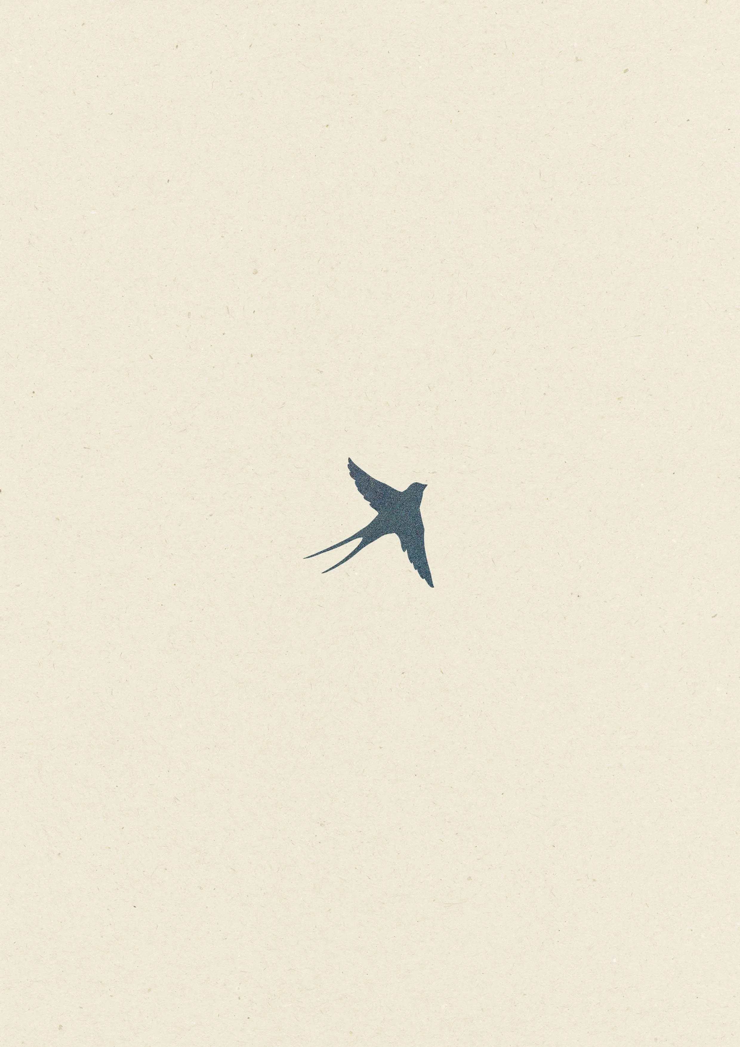 Hirondelle • 44
