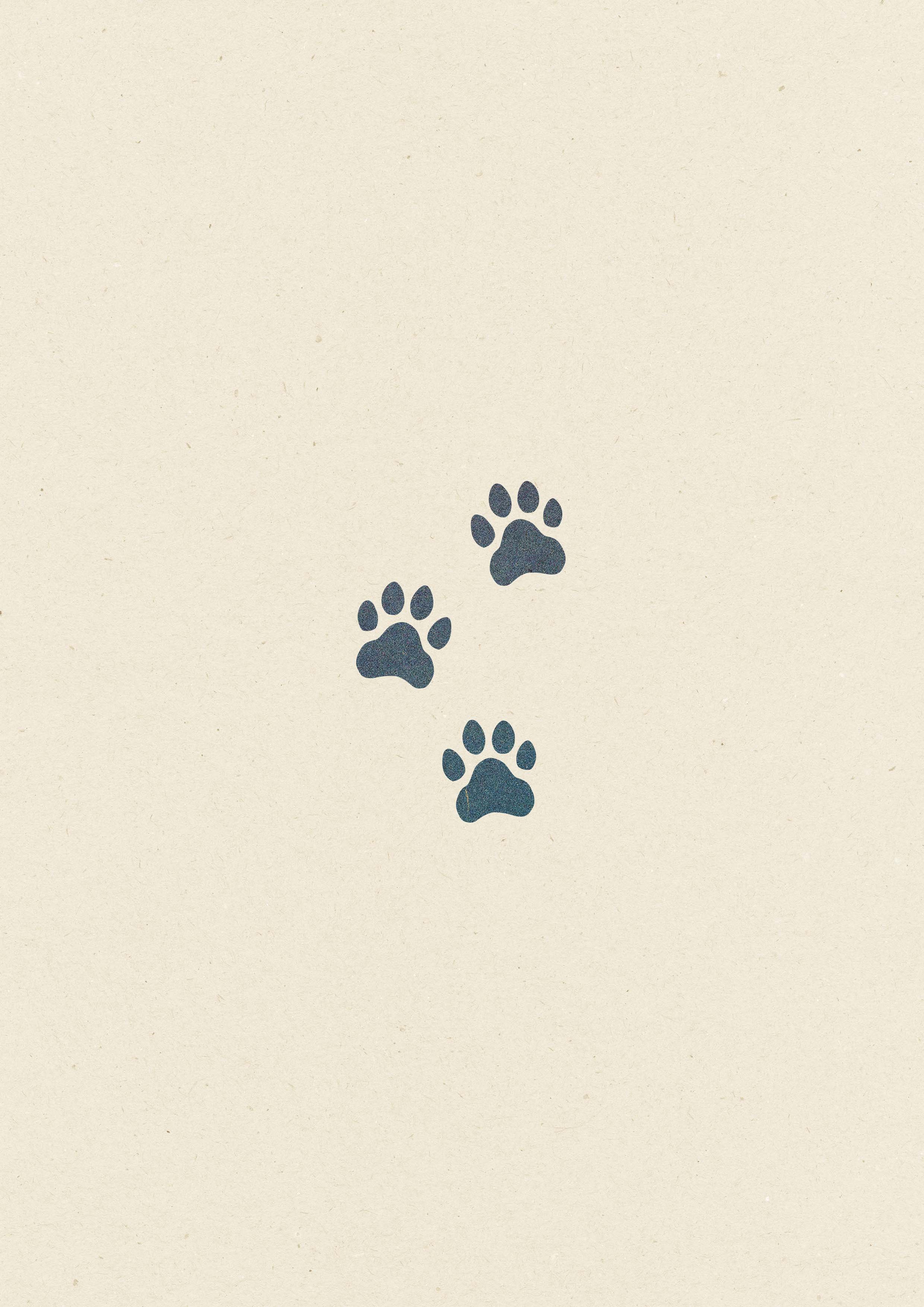 Pattes de Chat • 93