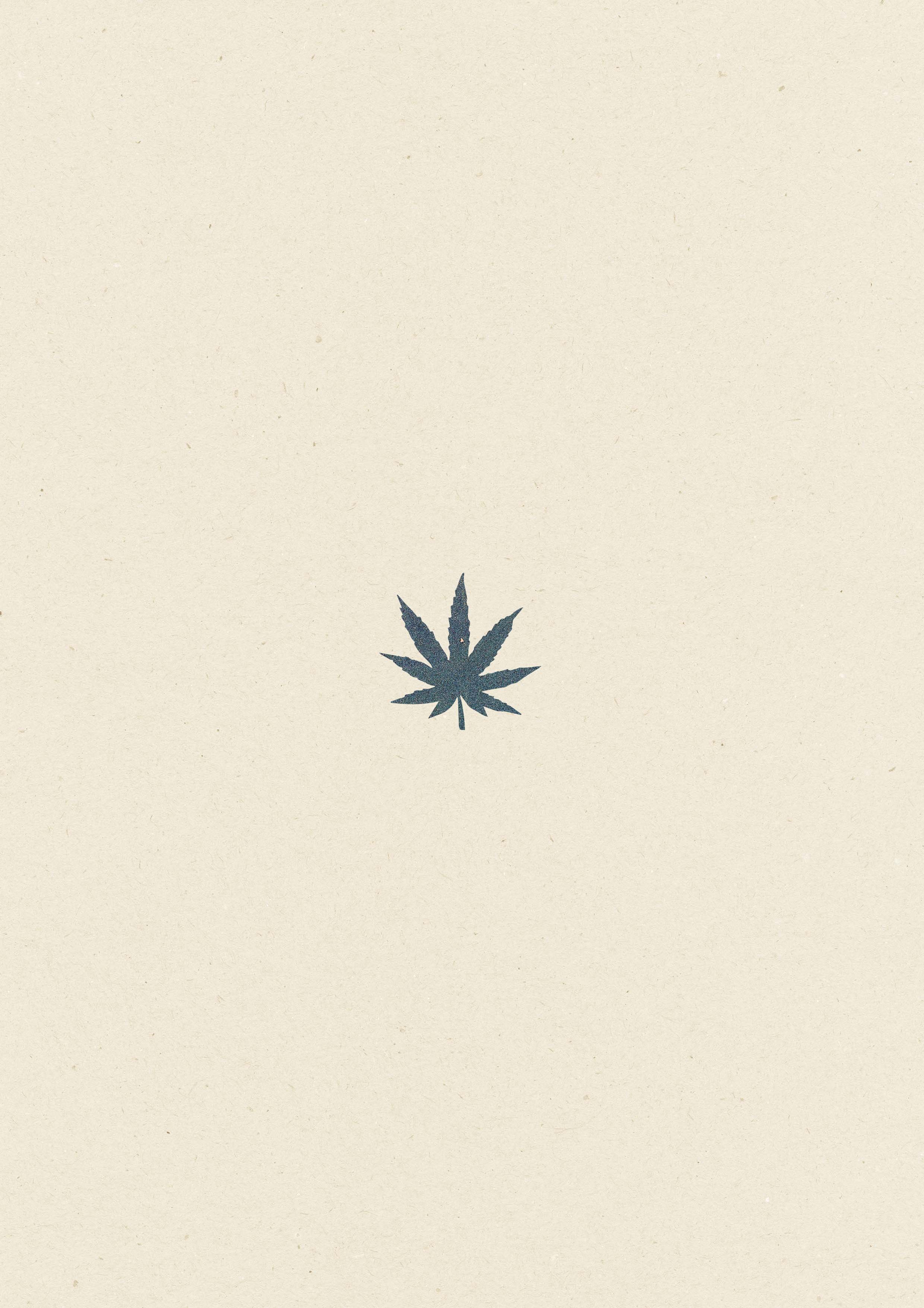 Feuille de Cana • 51
