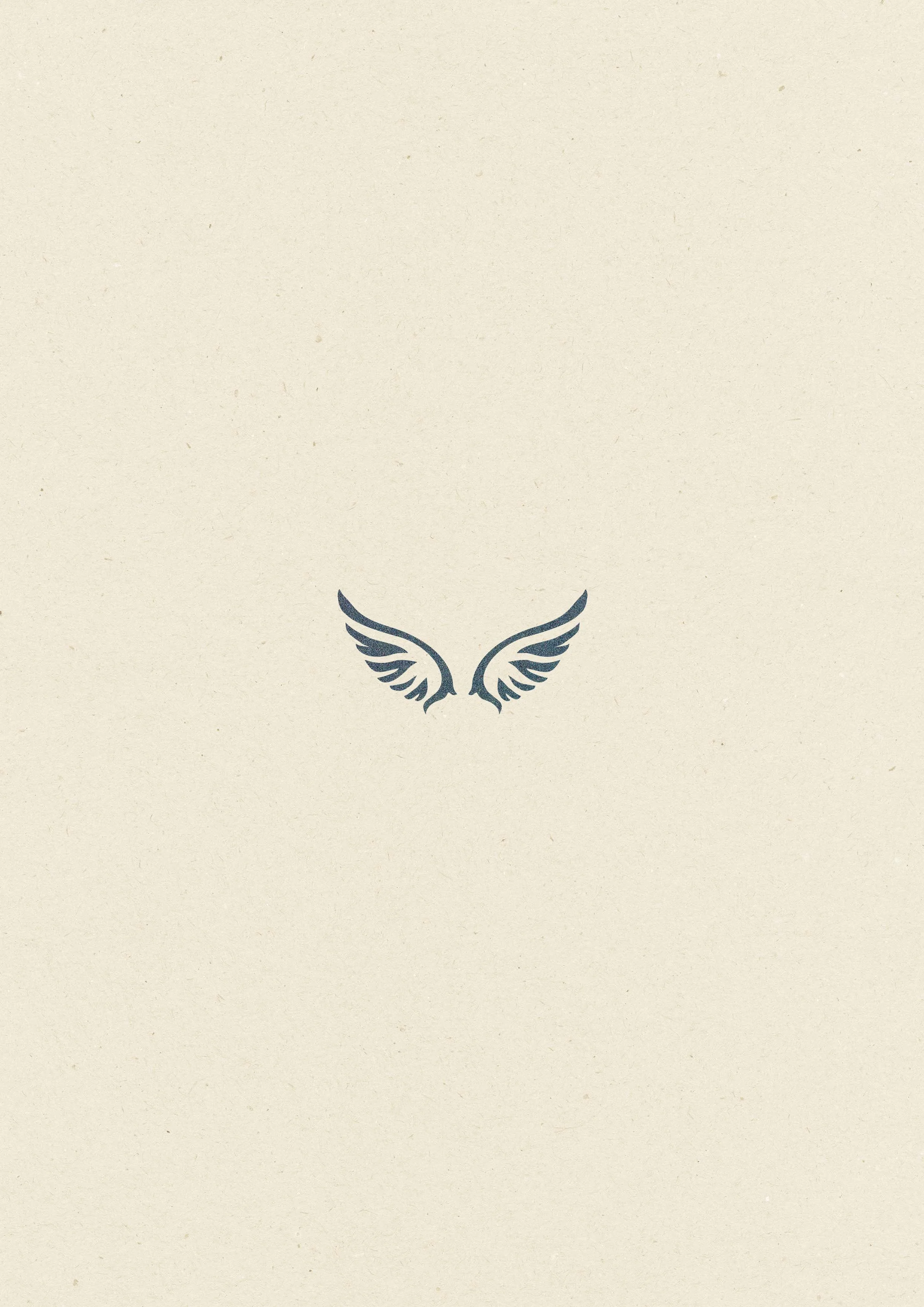 Ailes • 127