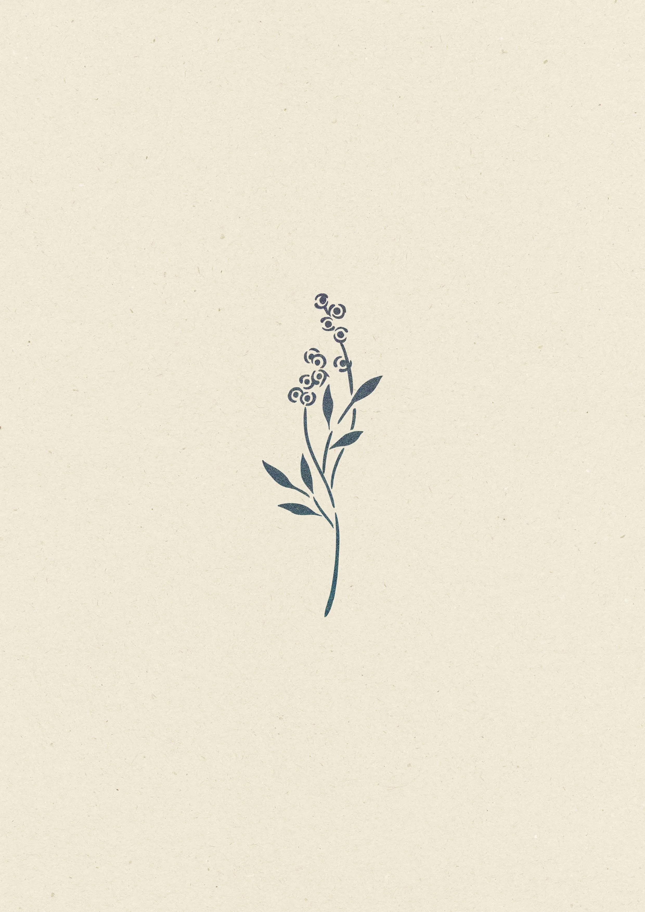 Mimosa • 198