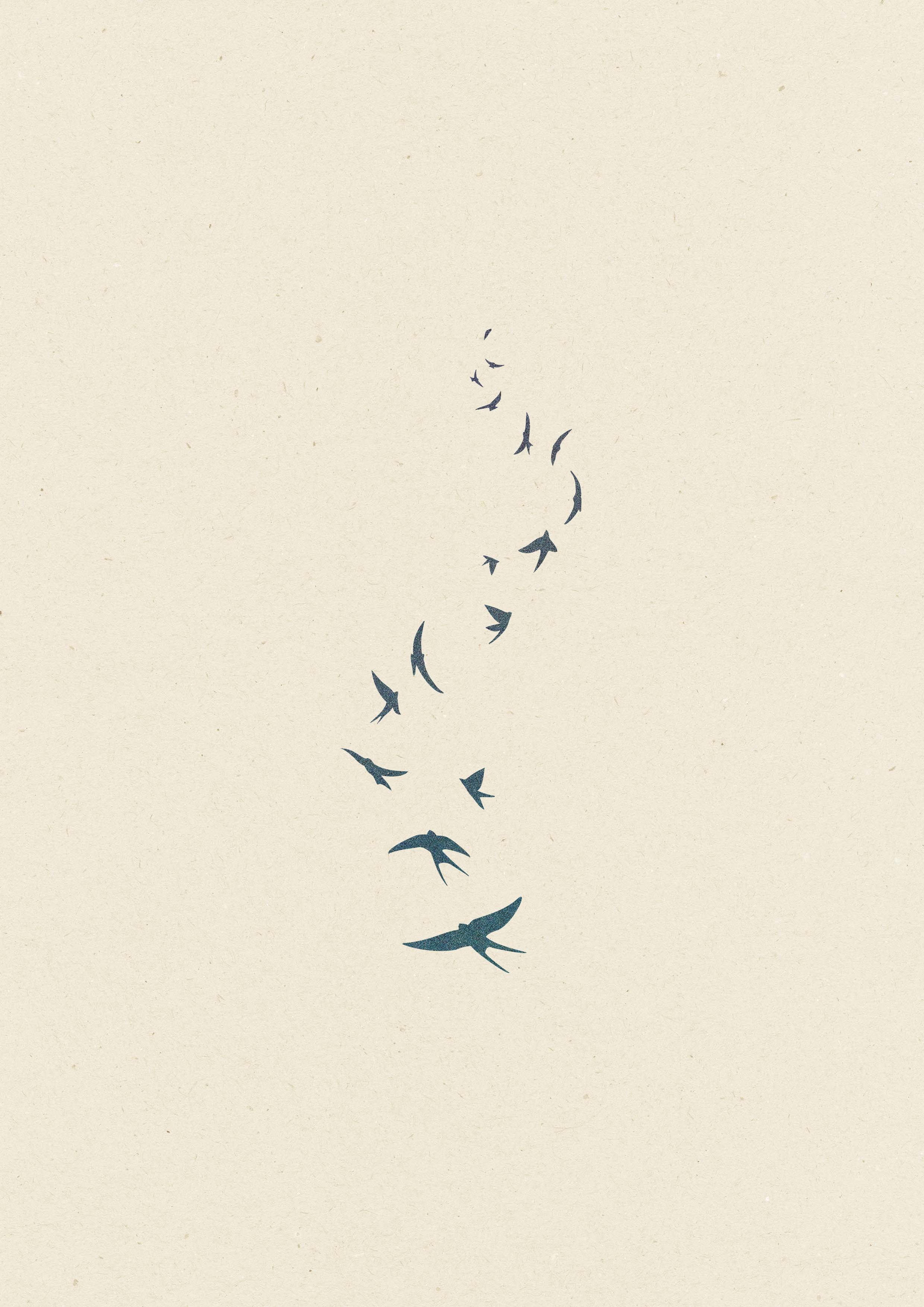 Envole d'oiseaux • 103