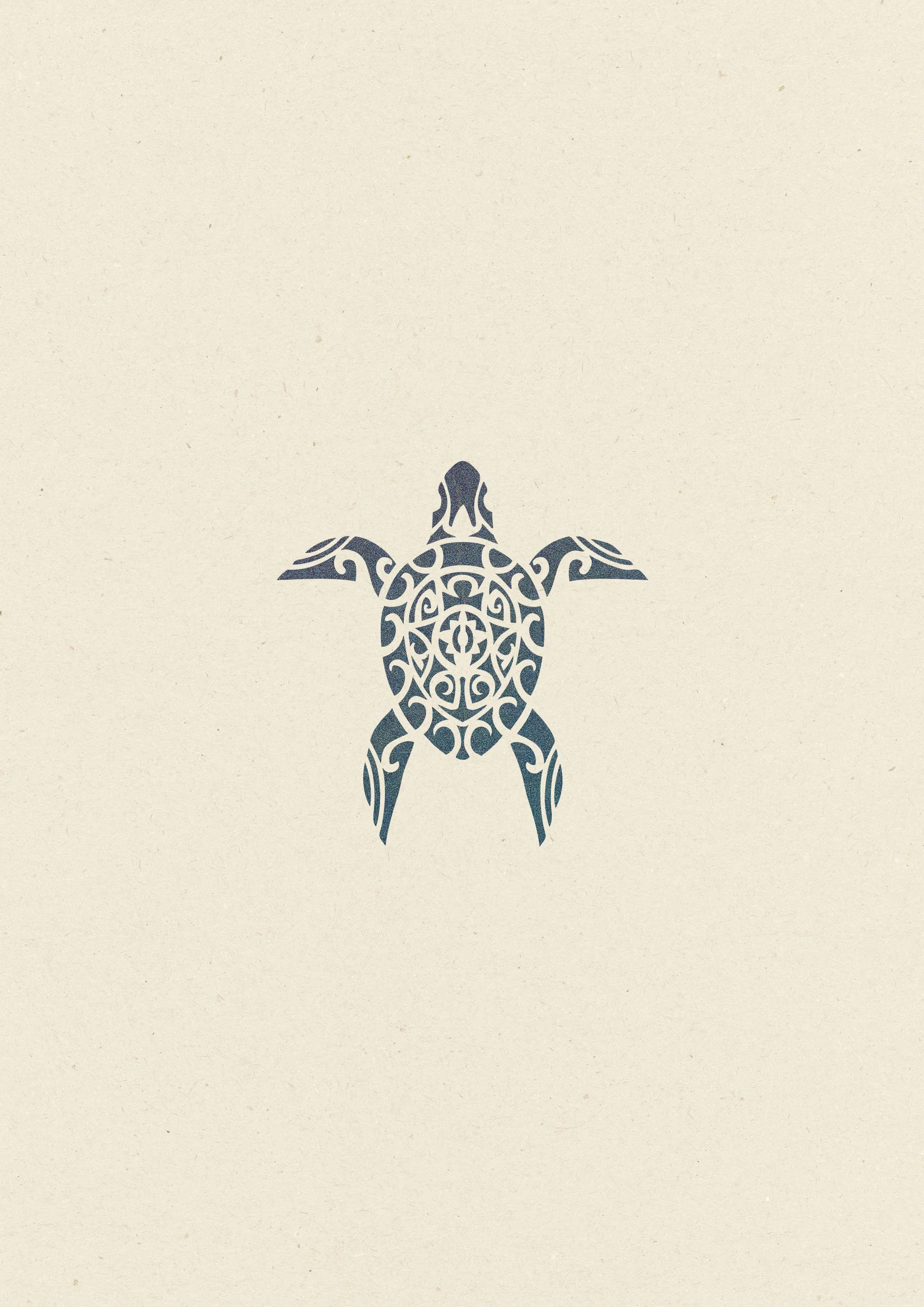 Tortue Maori • 148
