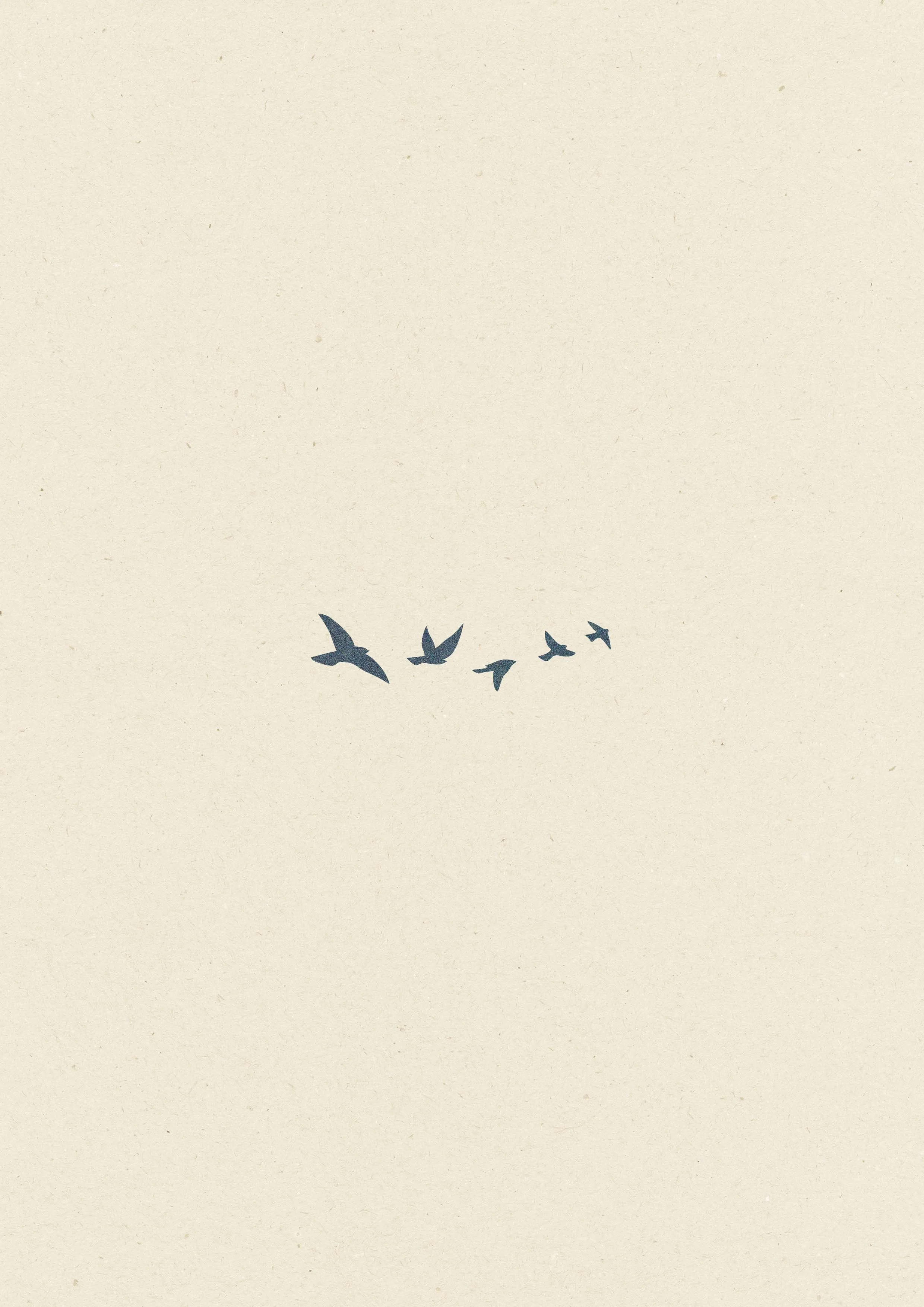 5 Oiseaux • 104