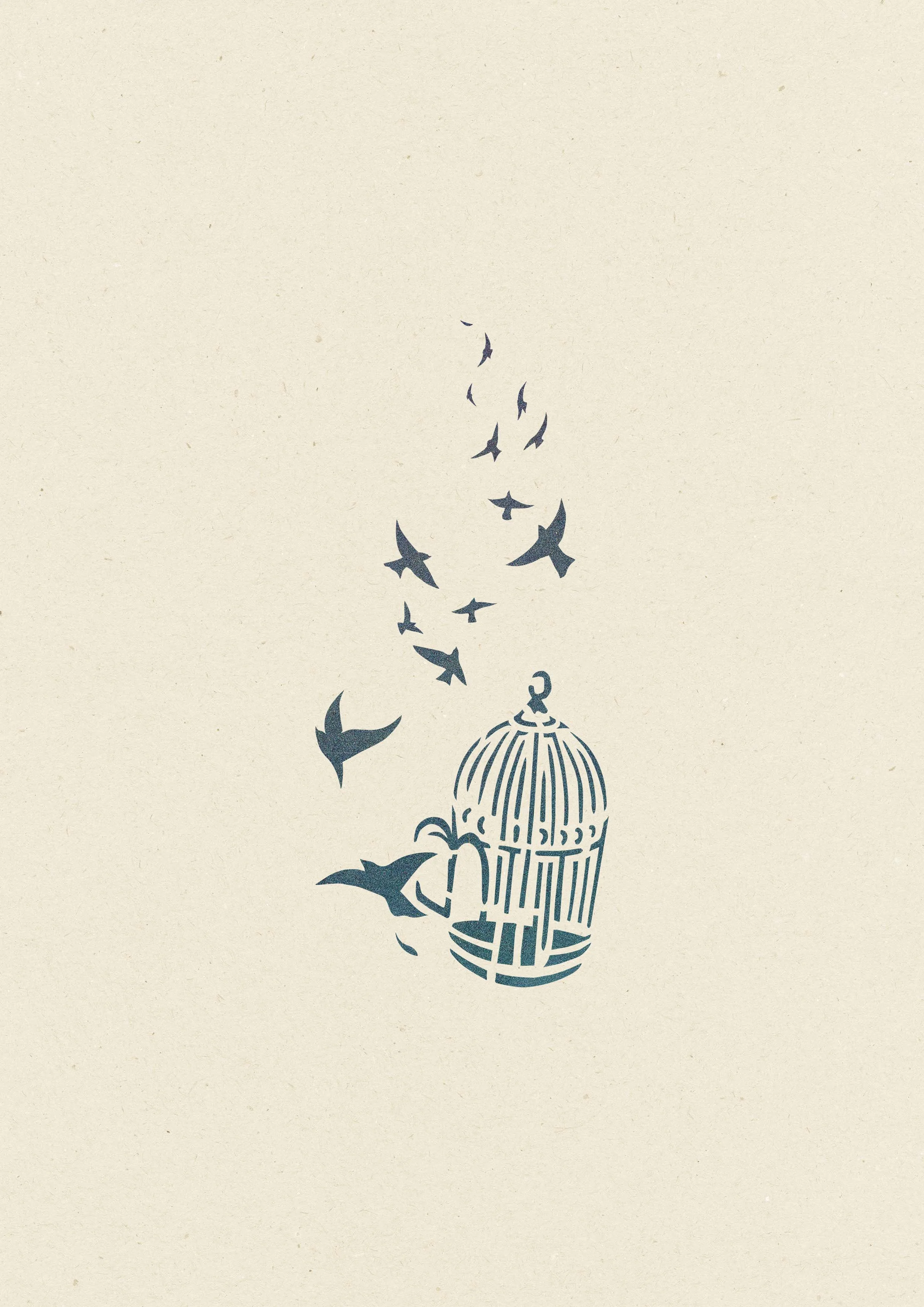 Cage oiseaux • 4