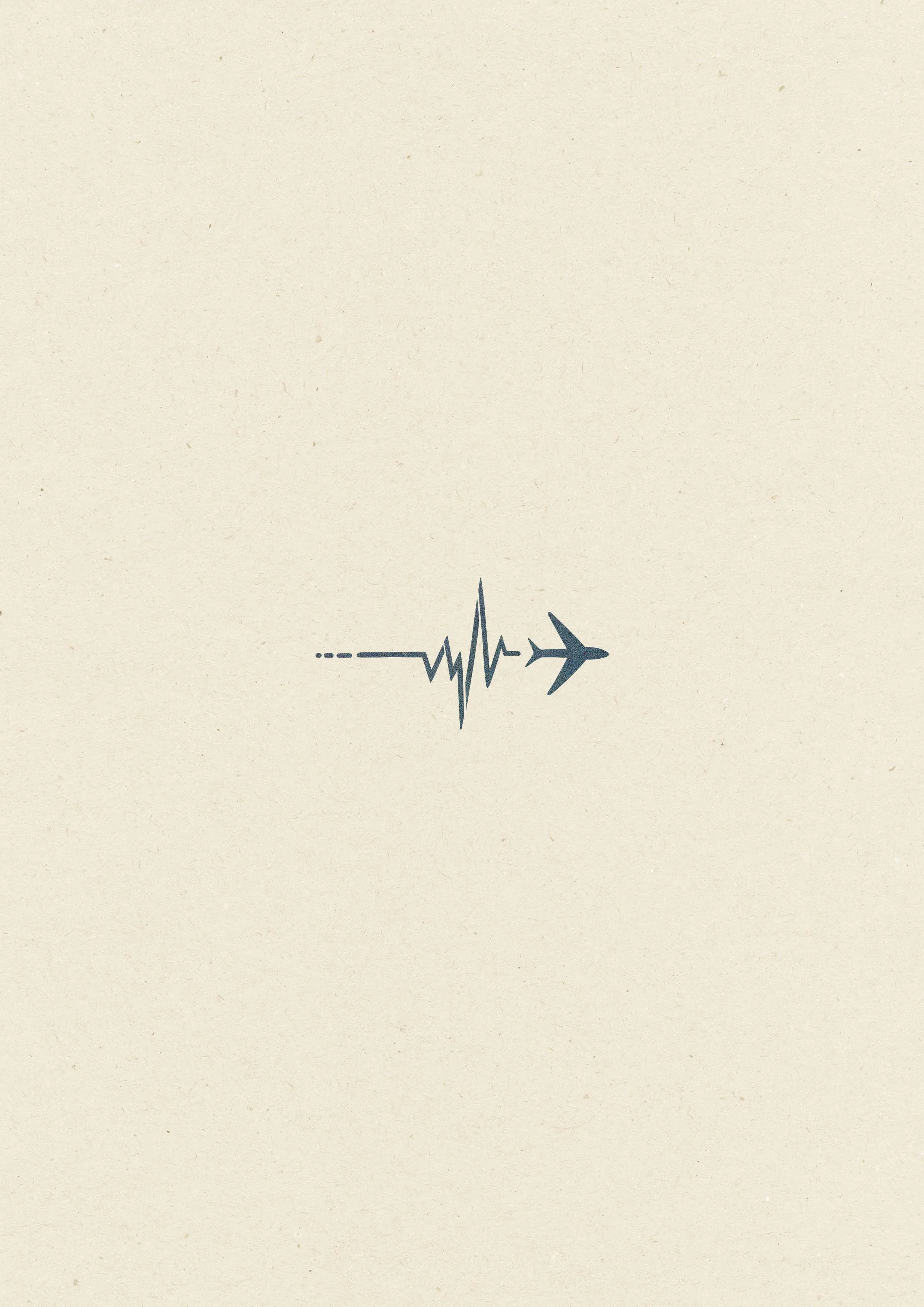 Ligne de vie Avion • 179