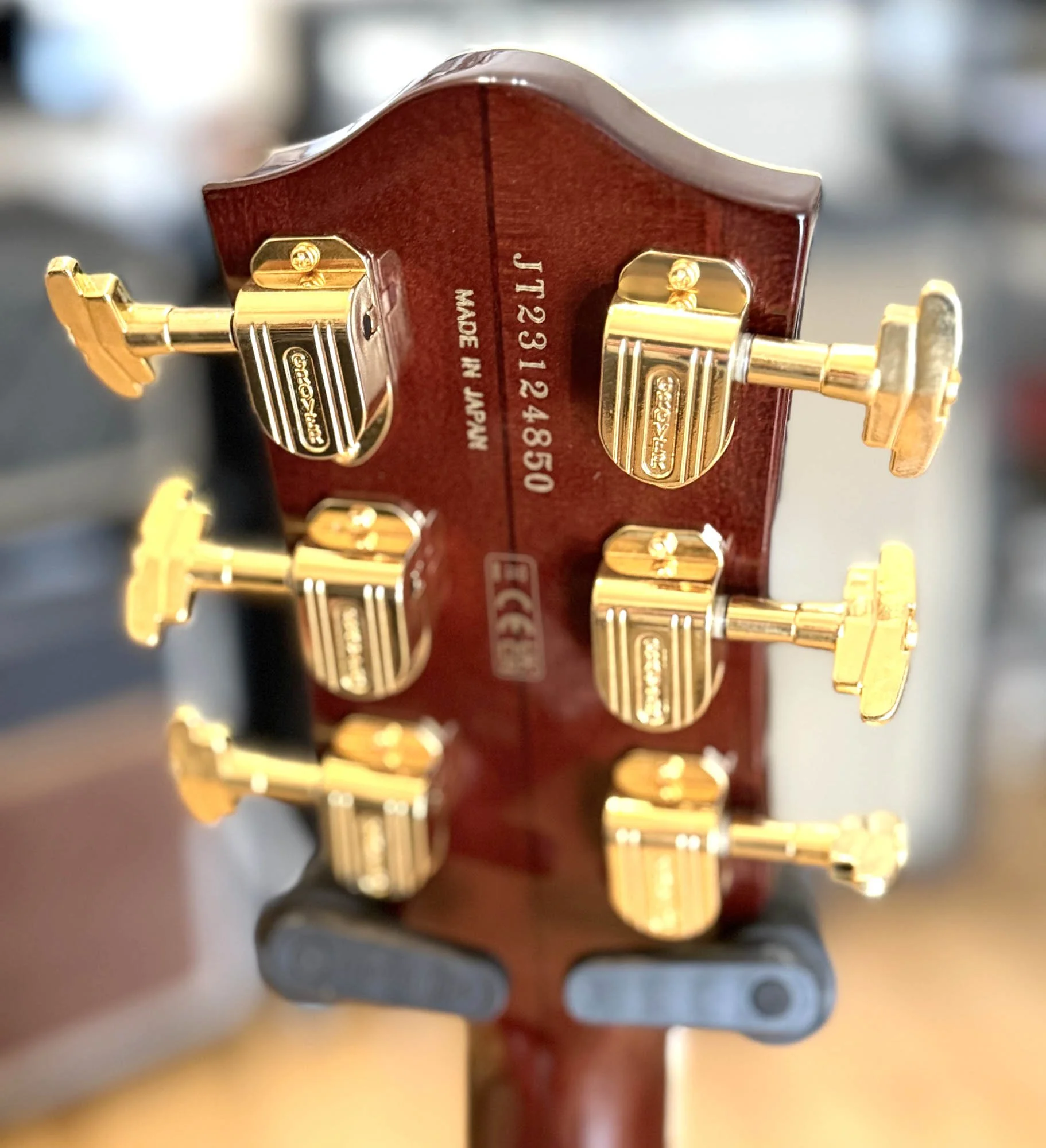 Head rear.jpg