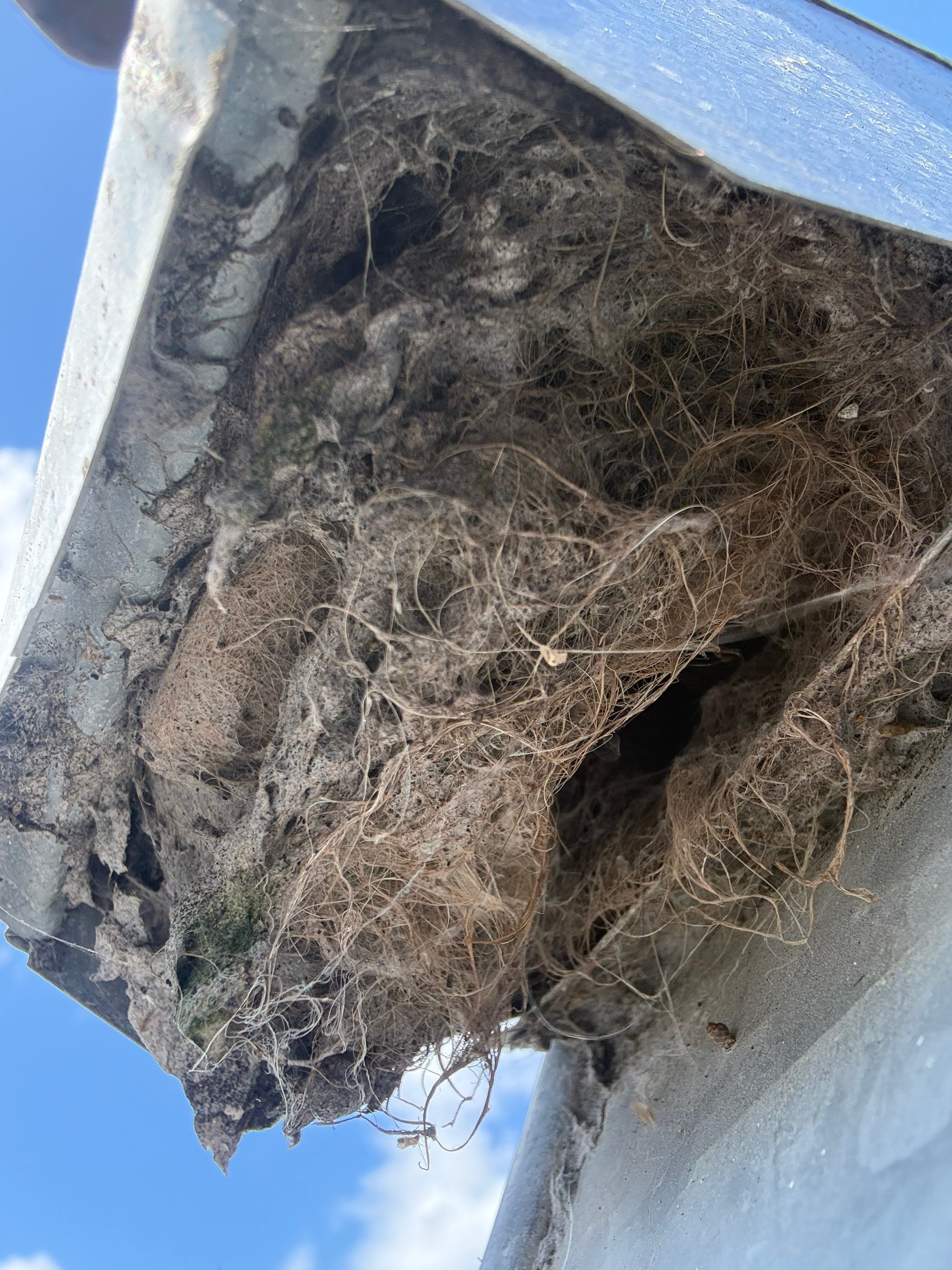 dryer vent cleaning Seminole fl