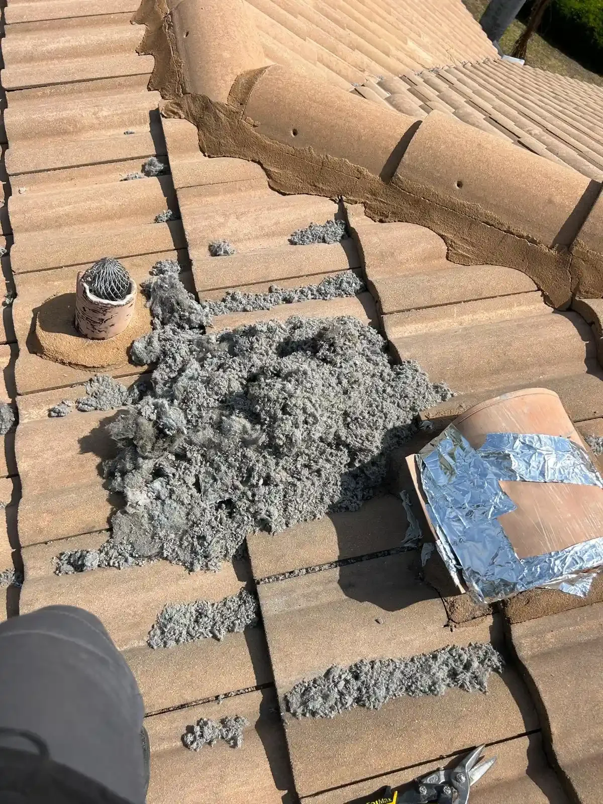 Dryer Vent Inspection