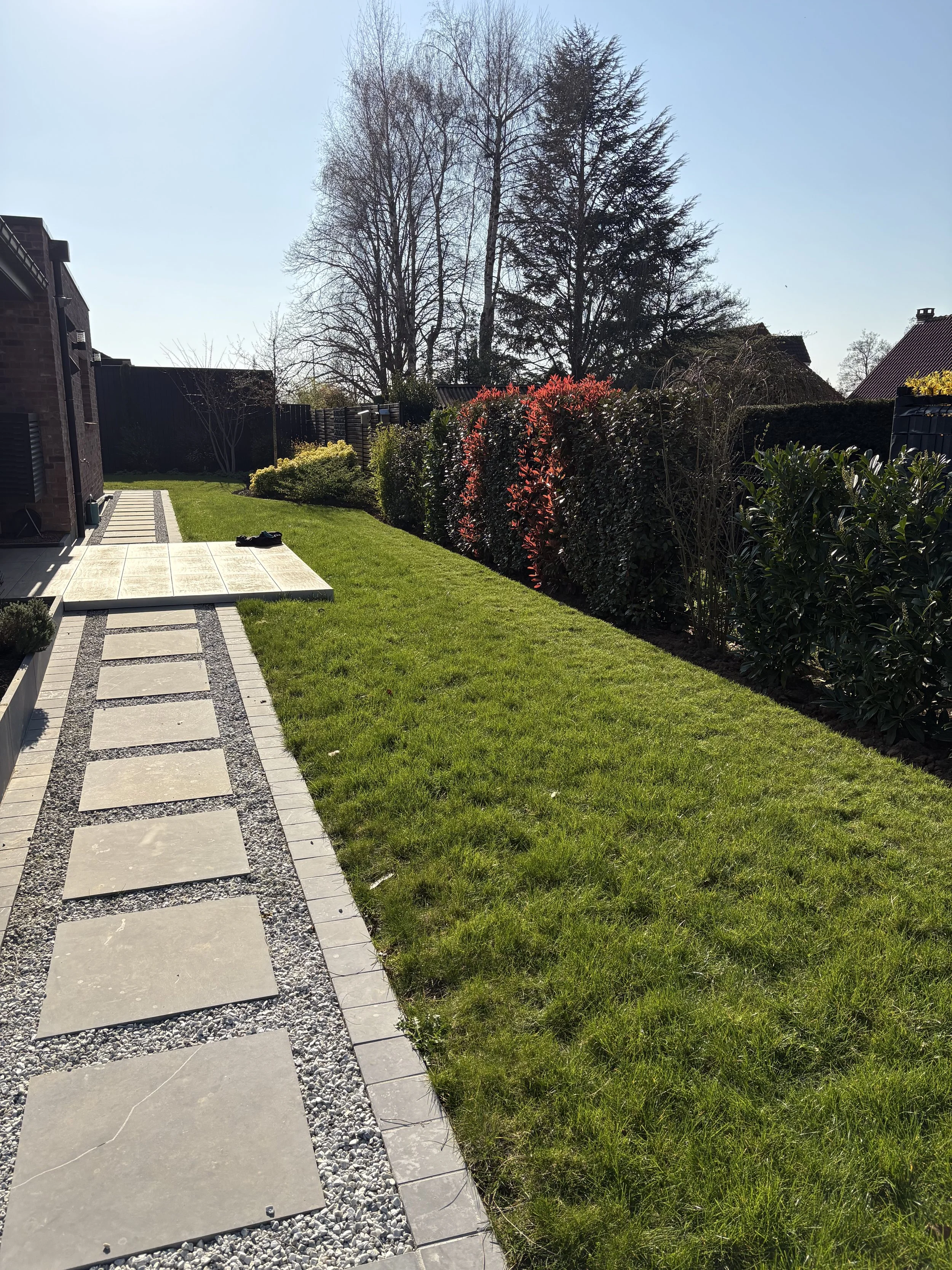 Jardin avec une terrasse pavée, pelouse verte, arbustes et arbres, maison en arrière-plan avec un ciel clair.