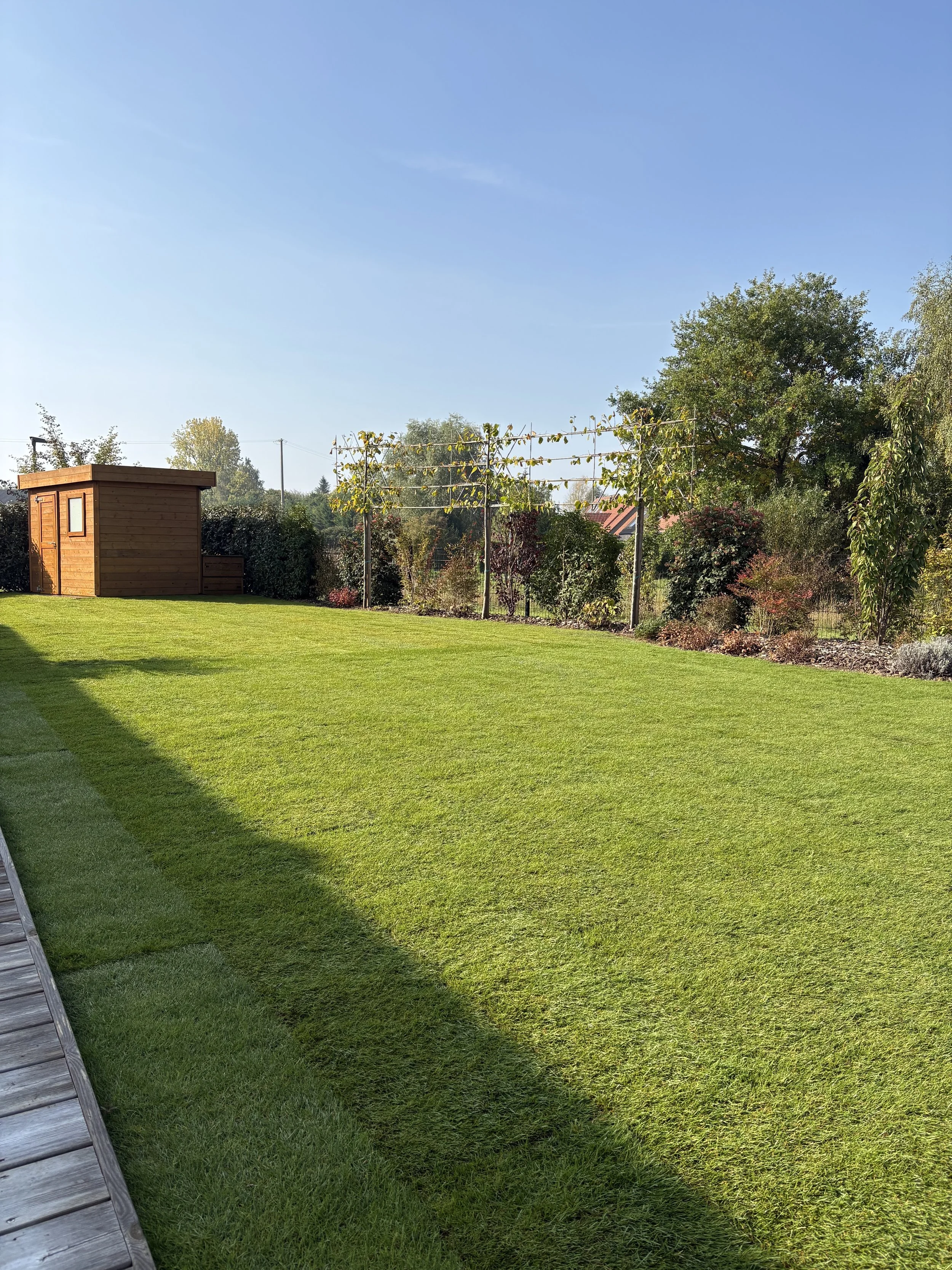Jardin avec pelouse verte, abri en bois, treillis avec vignes et divers arbustes, sous un ciel bleu clair.