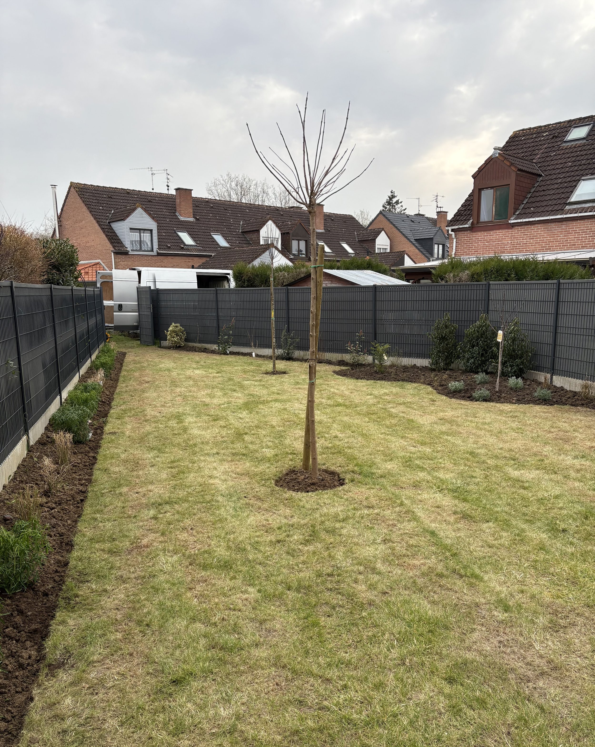Jardin avec pelouse verte et jeunes arbres, entouré de clôtures et de maisons en arrière-plan.