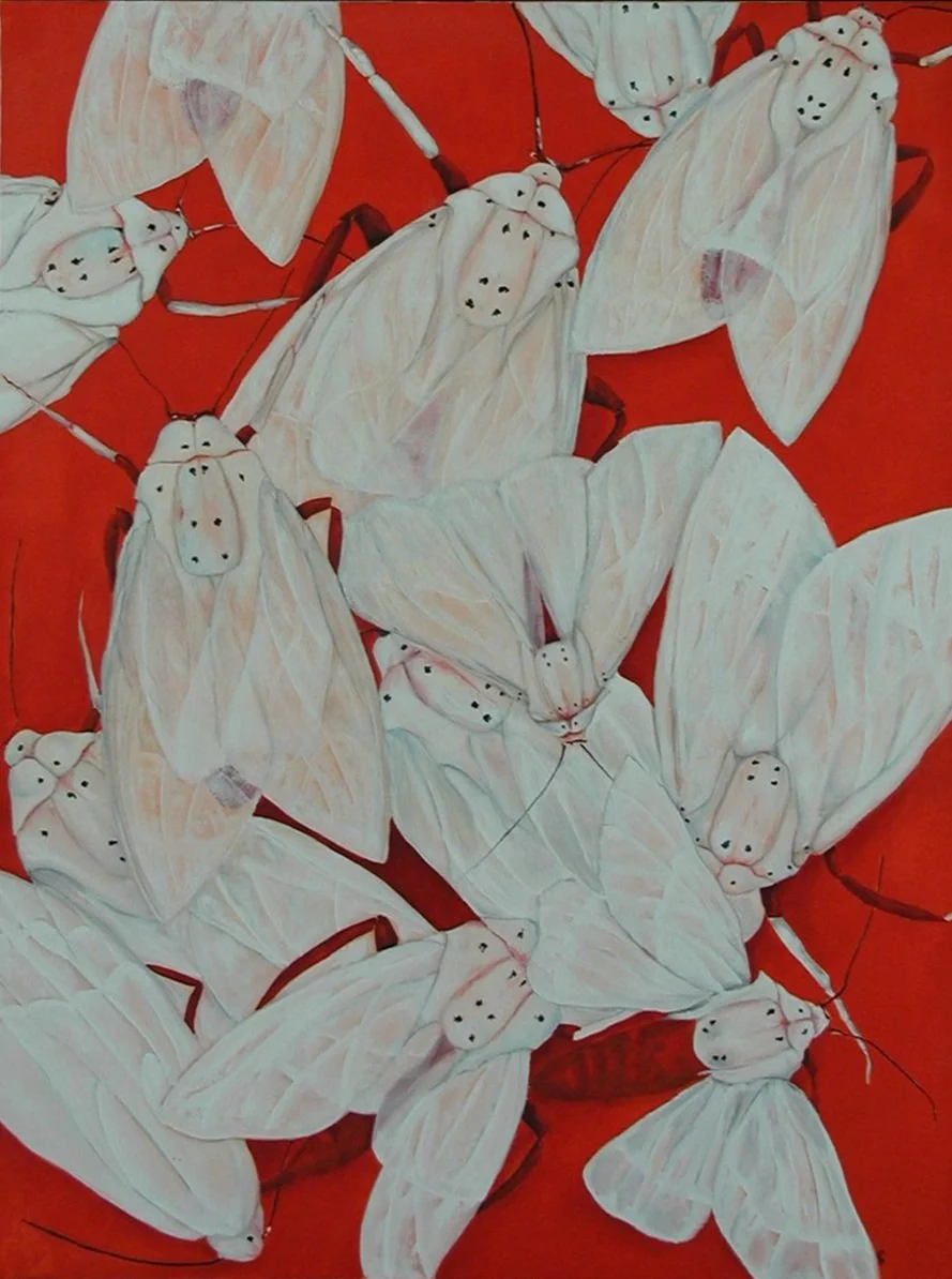 Attraction.  Oil on canvas.  SOLD