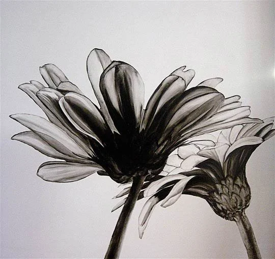 Together.  Oil on canvas.  91 x 91cm.  SOLD