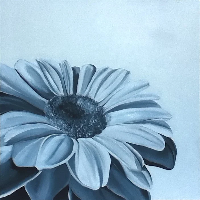 Gerbera.  Oil on canvas.  91 x 91cm.  SOLD